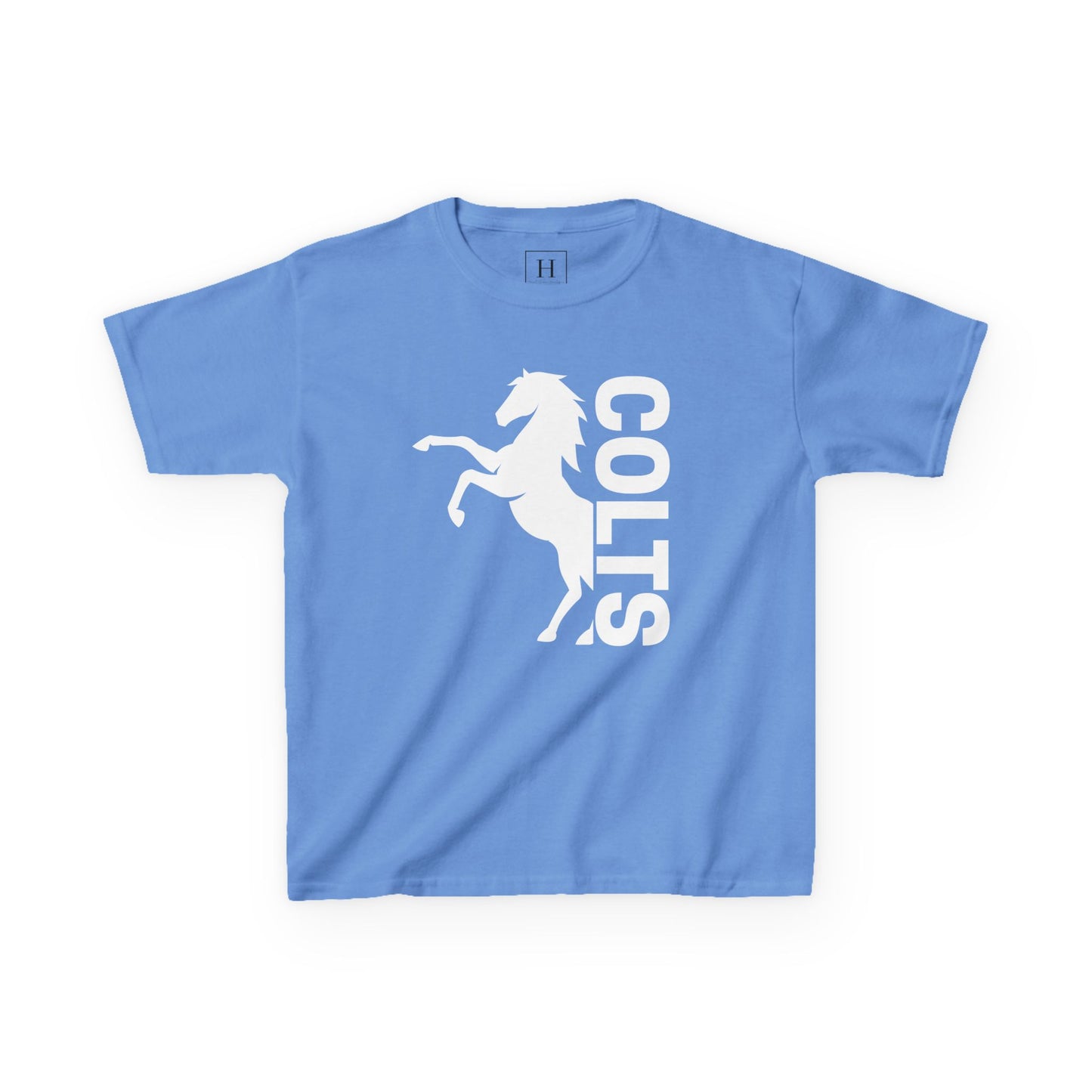 YOUTH - COLTS, Horse in White