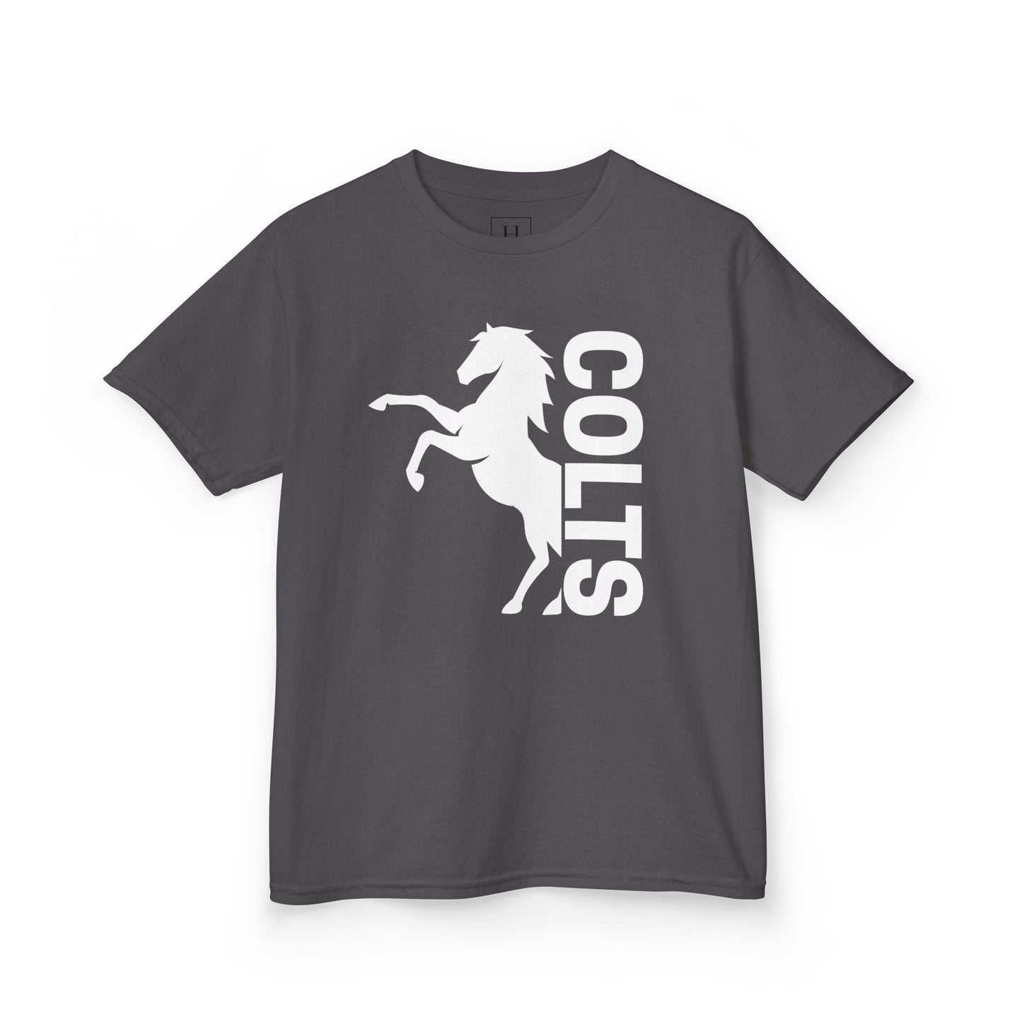YOUTH - COLTS, Horse in White