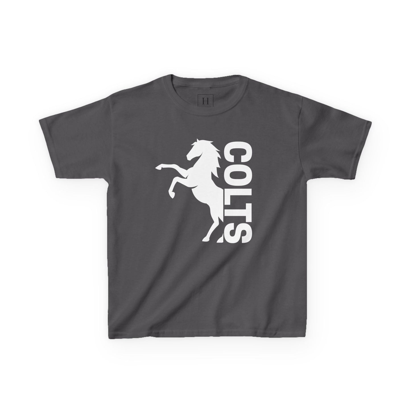 YOUTH - COLTS, Horse in White