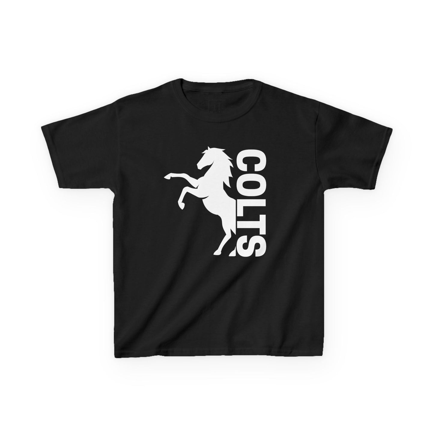 YOUTH - COLTS, Horse in White