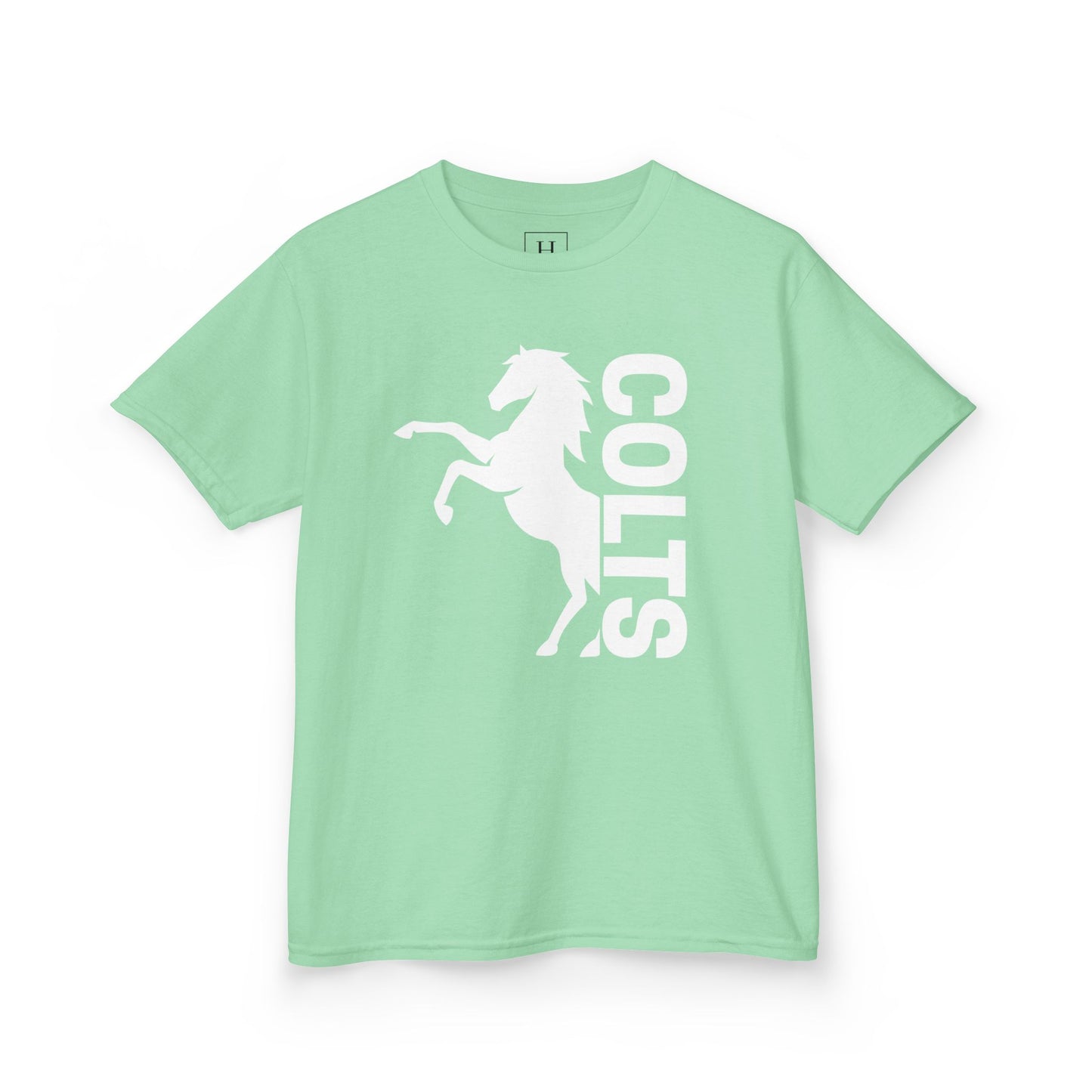 YOUTH - COLTS, Horse in White