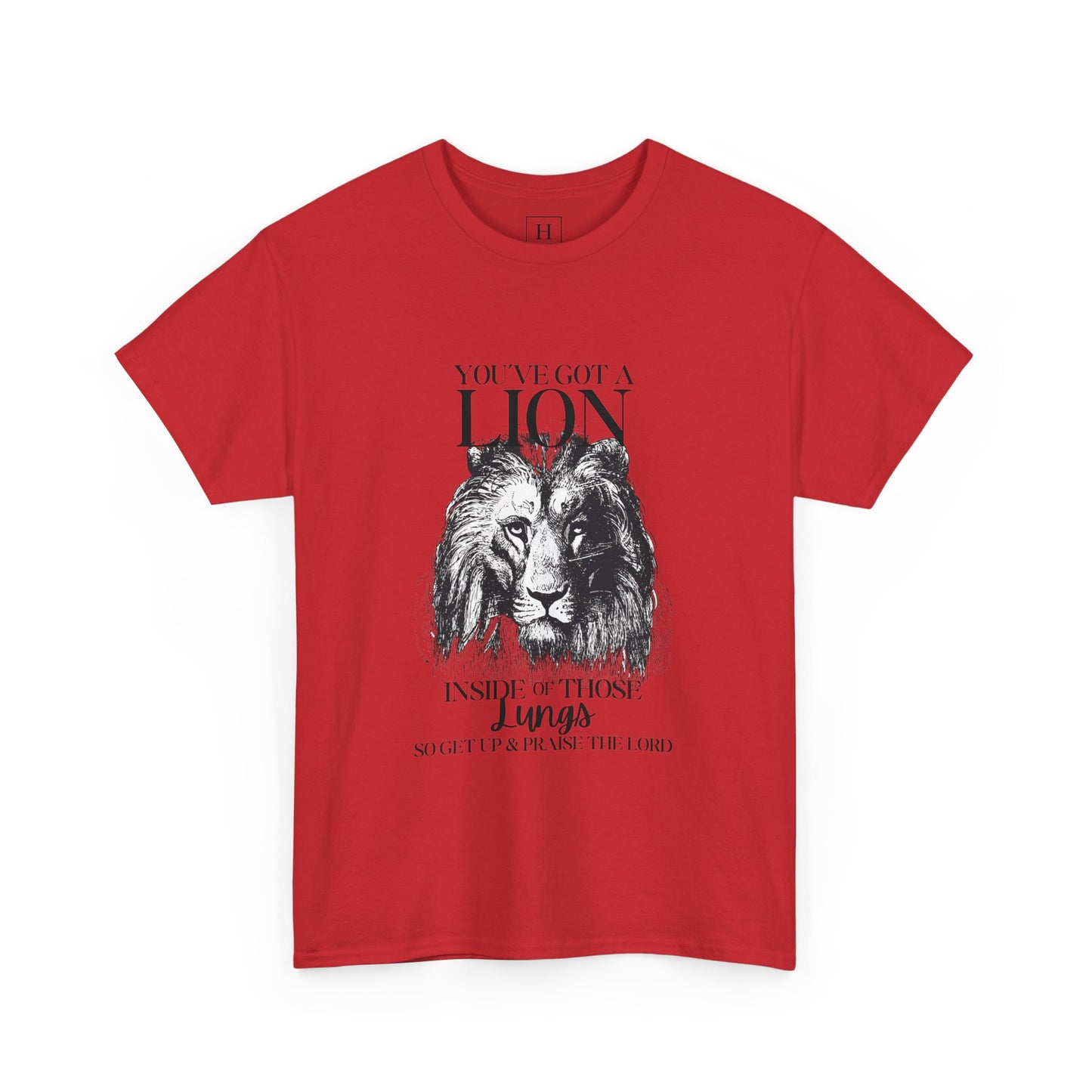 you are a lion christian shirt