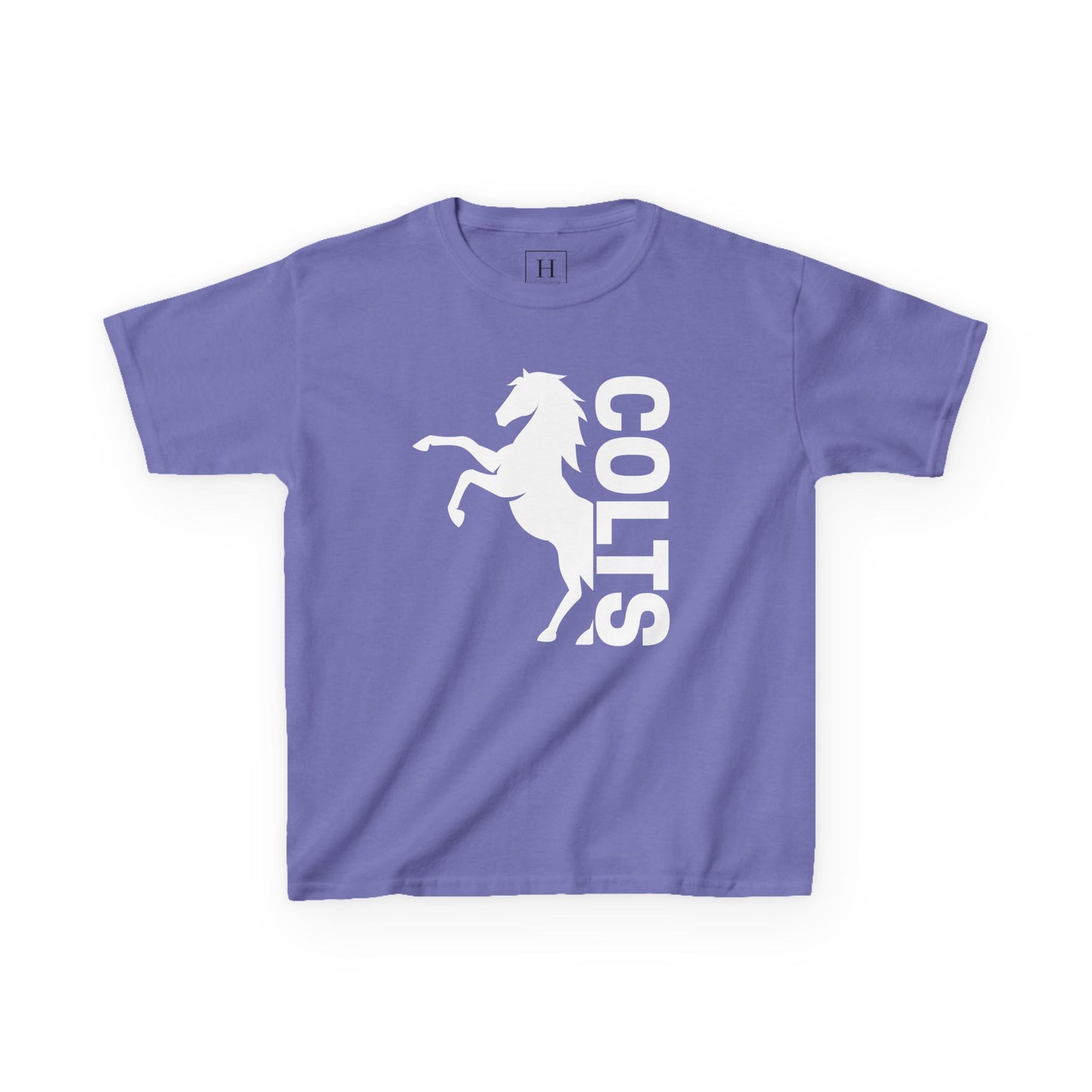 YOUTH - COLTS, Horse in White