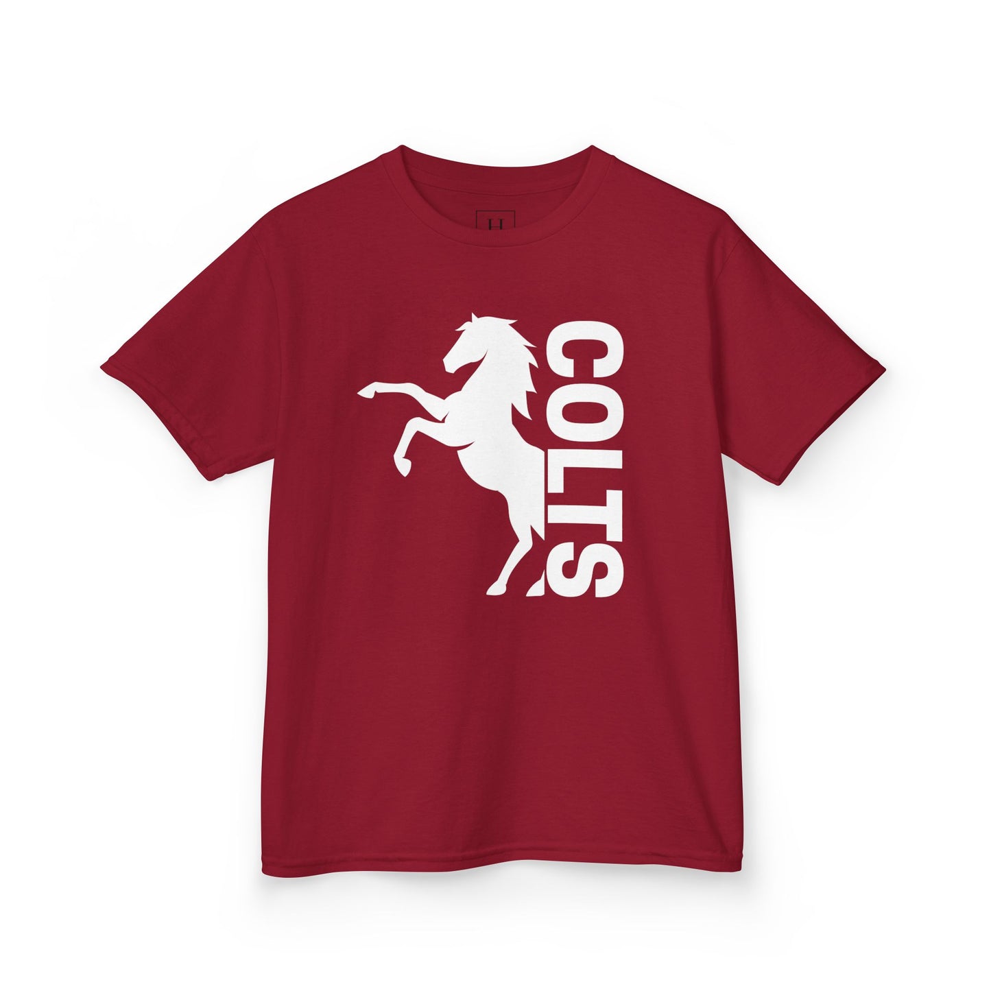 YOUTH - COLTS, Horse in White
