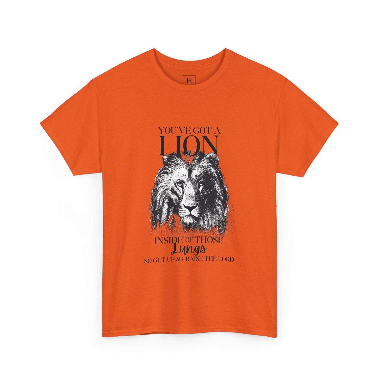 you are a lion christian shirt