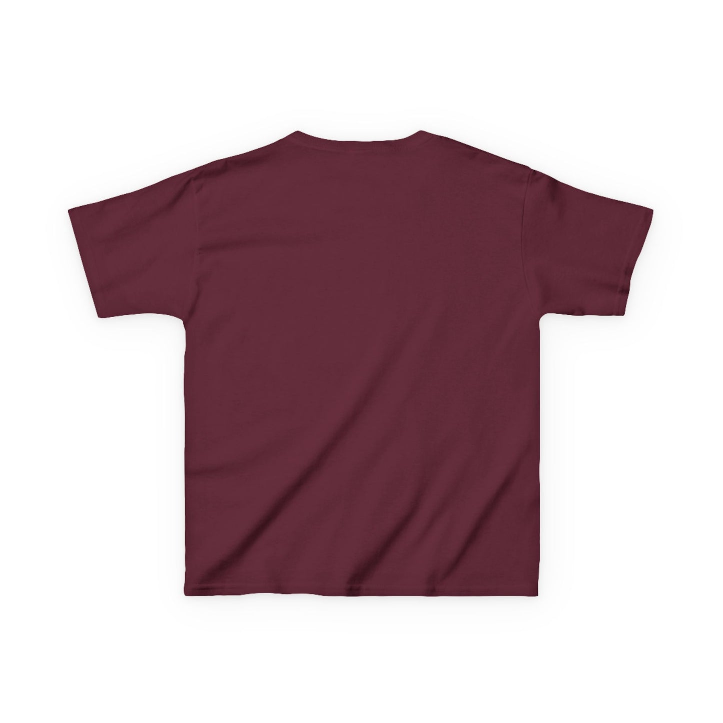 YOUTH -- West Jessamine Pennant Flag Colts - Unisex Shirt