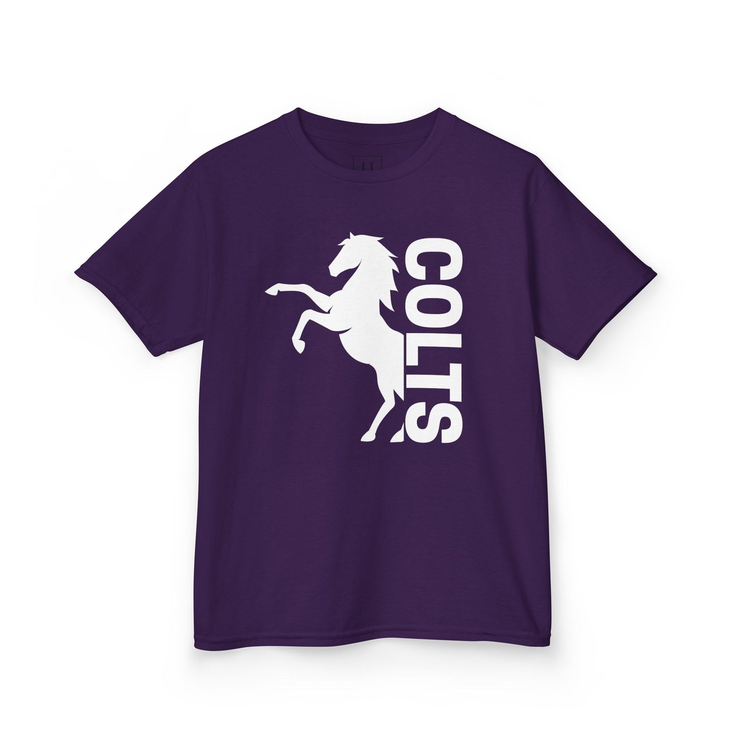 YOUTH - COLTS, Horse in White