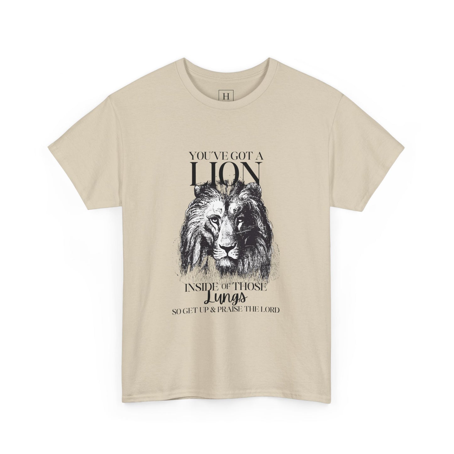 you are a lion christian shirt