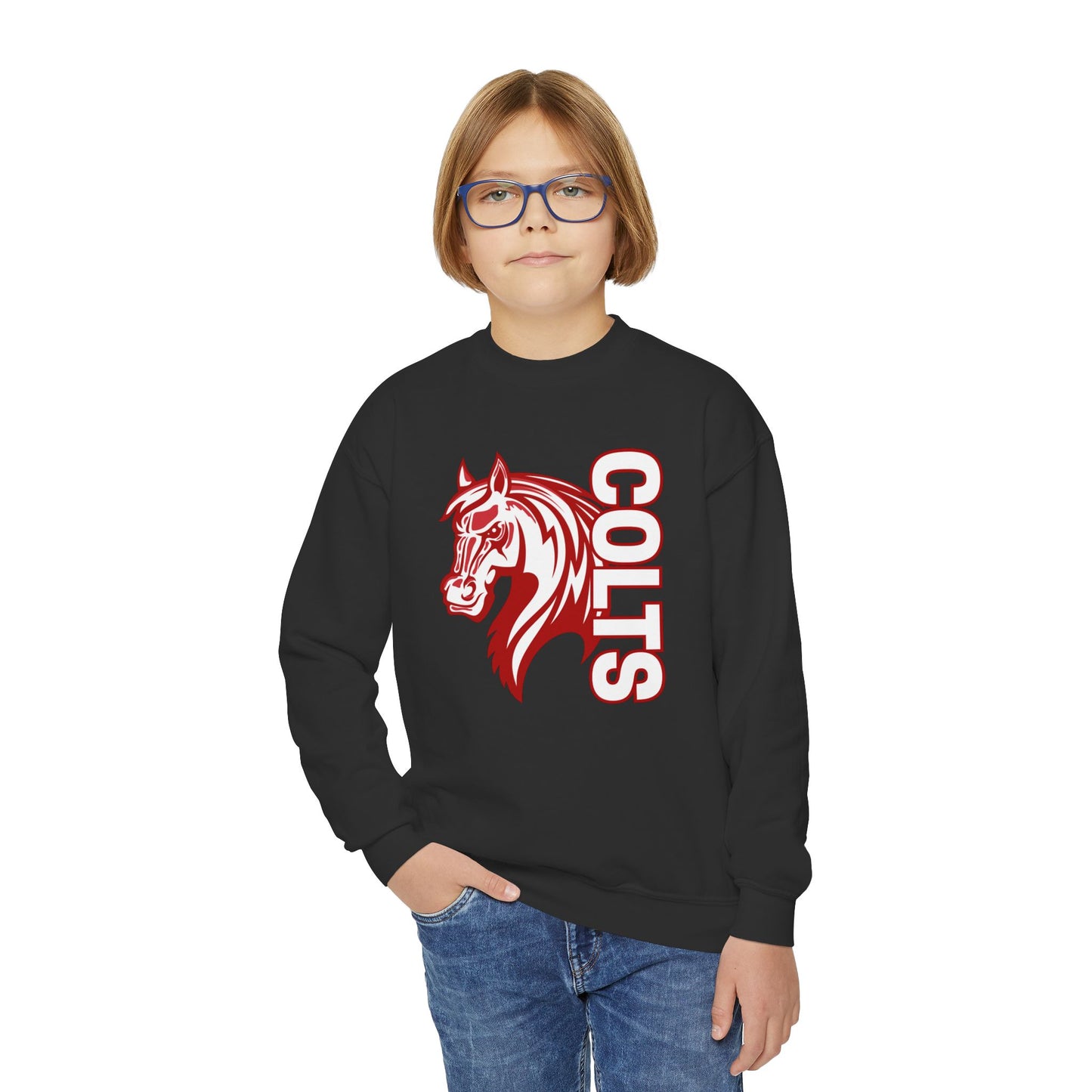 YOUTH -- Colts Mascot Head Horse West Jessamine Sweater