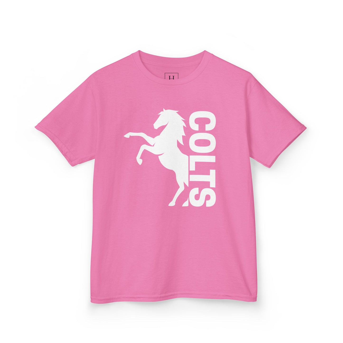 YOUTH - COLTS, Horse in White