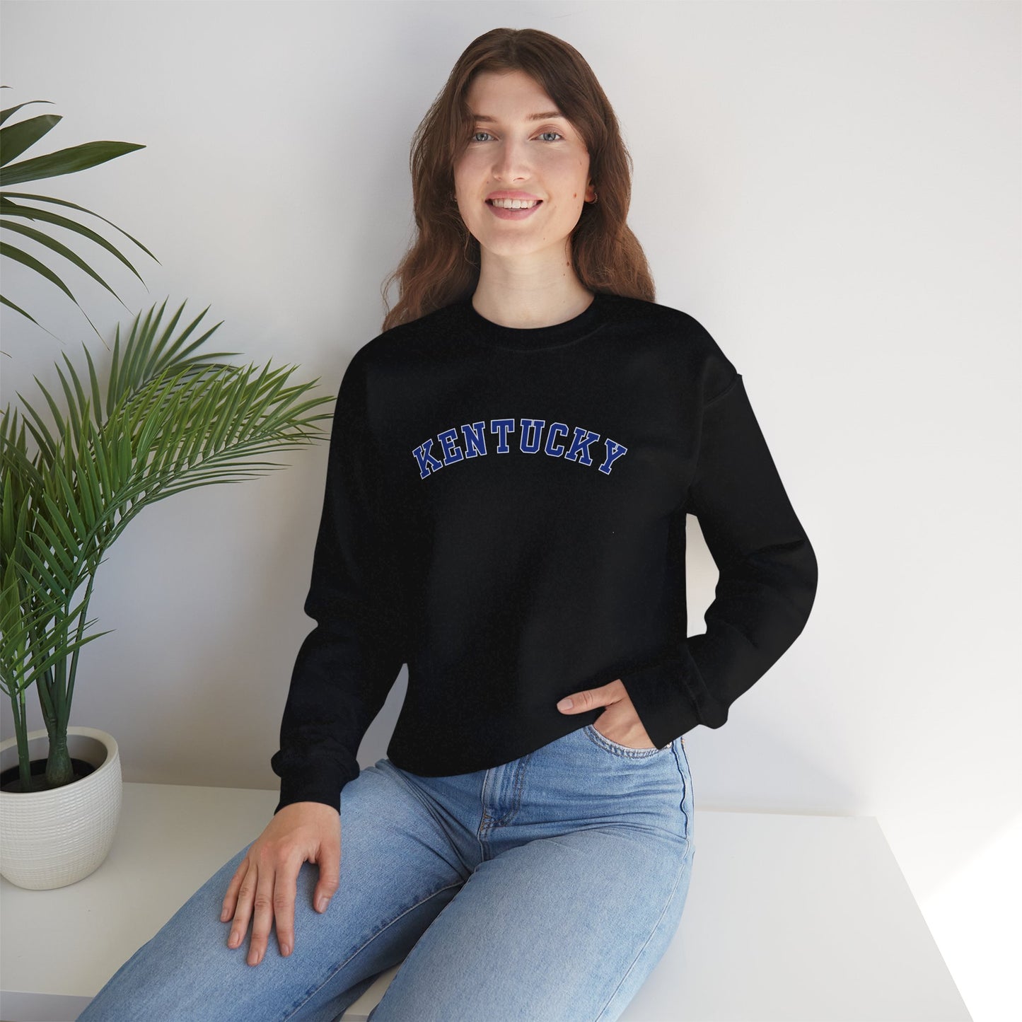 Kentucky Wildcats Pennant Sweater (Front & Back)