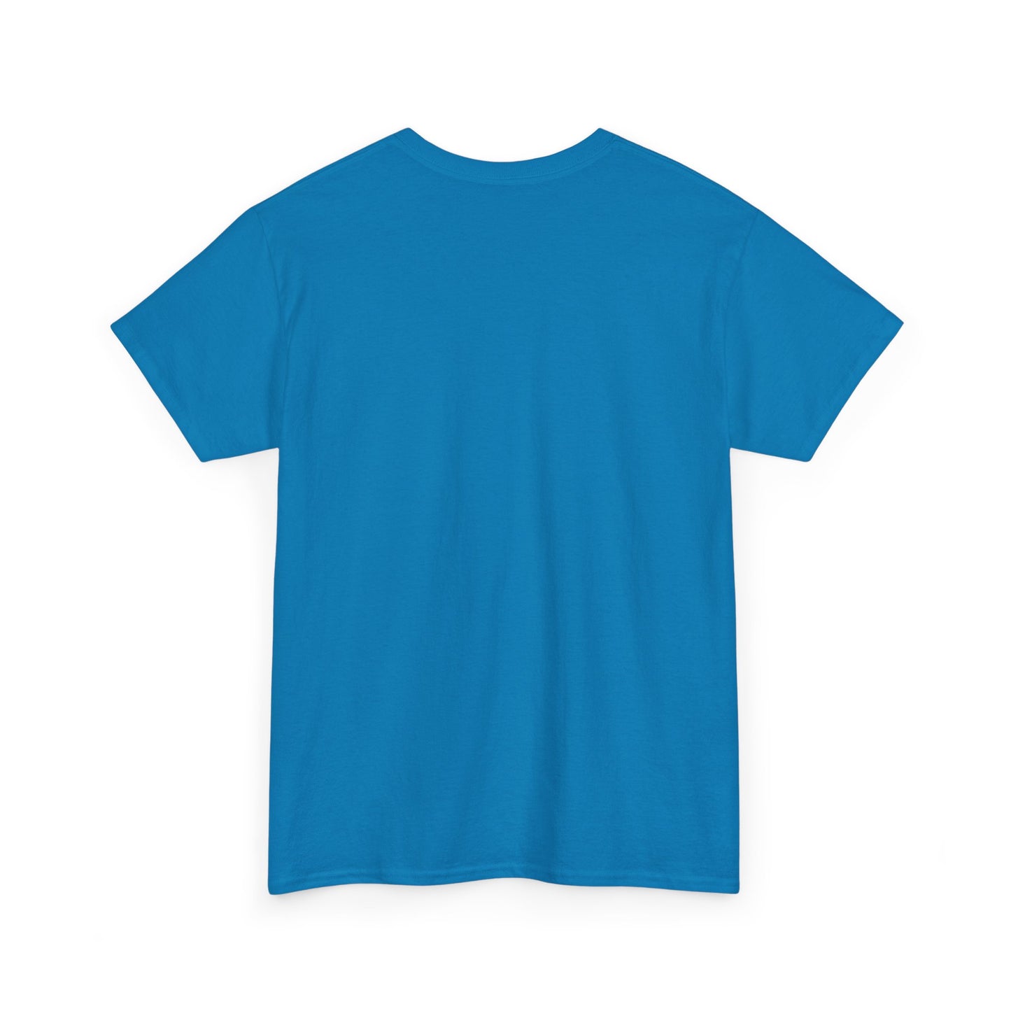 you are a lion christian shirt