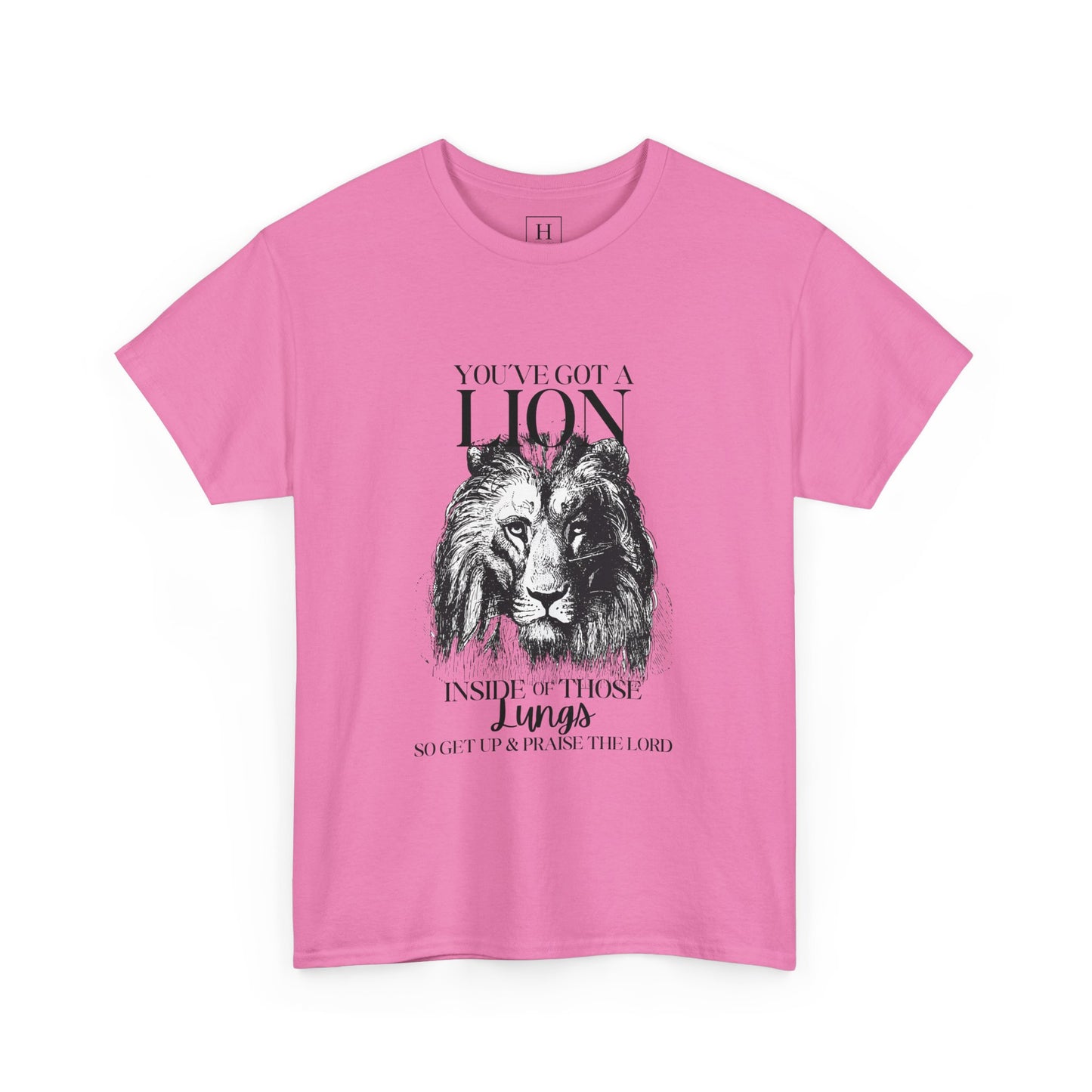 you are a lion christian shirt