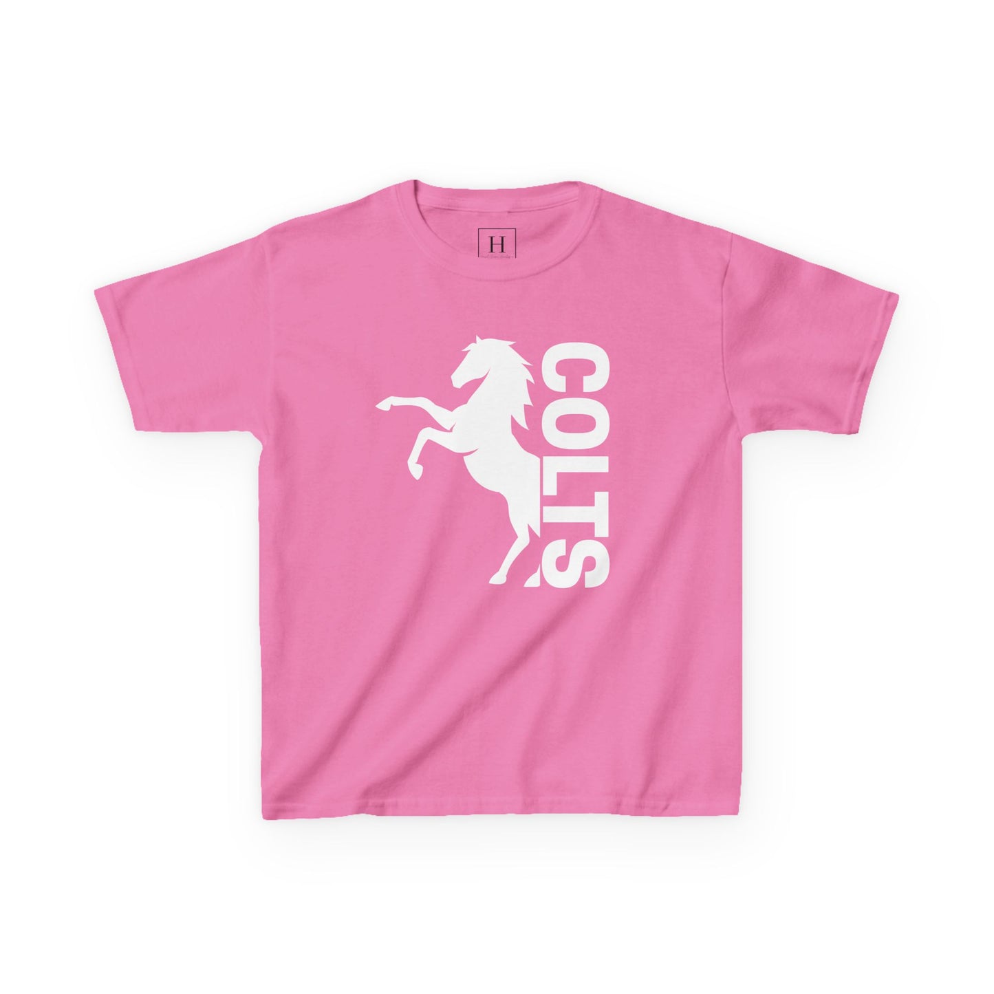 YOUTH - COLTS, Horse in White