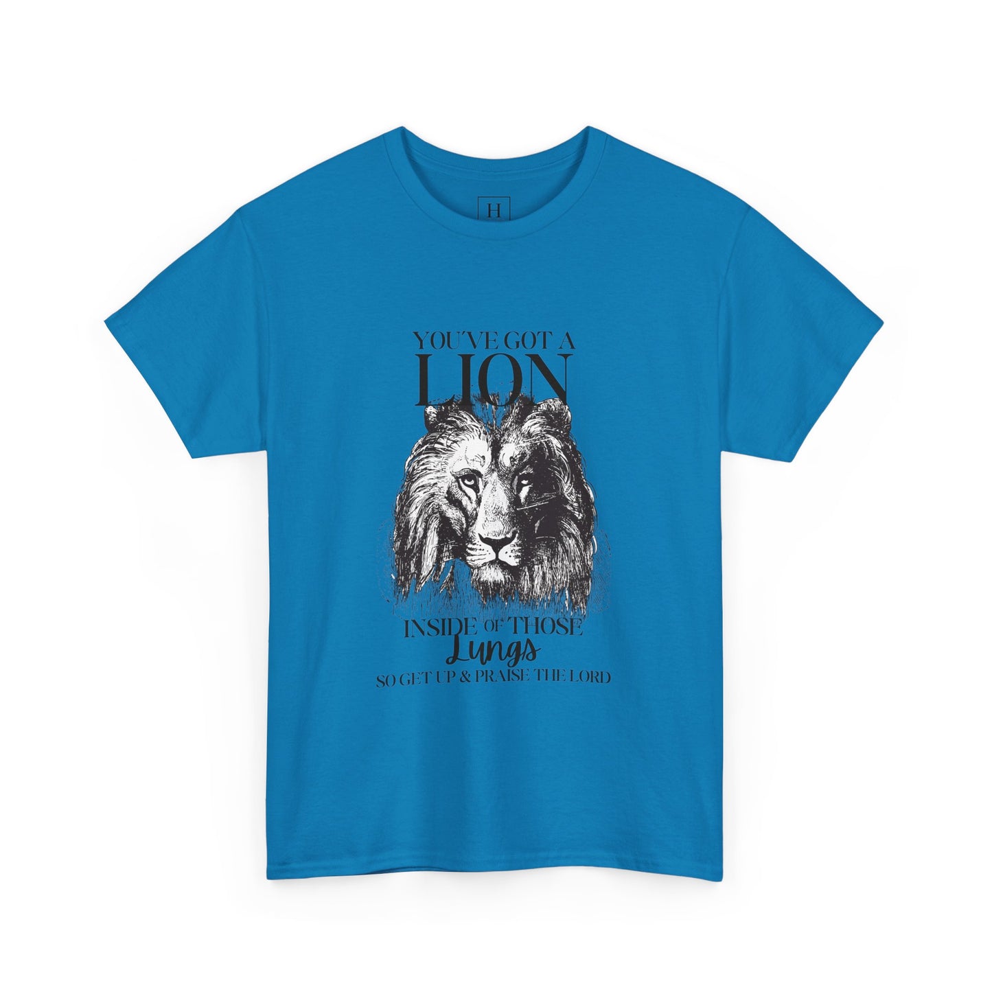 you are a lion christian shirt