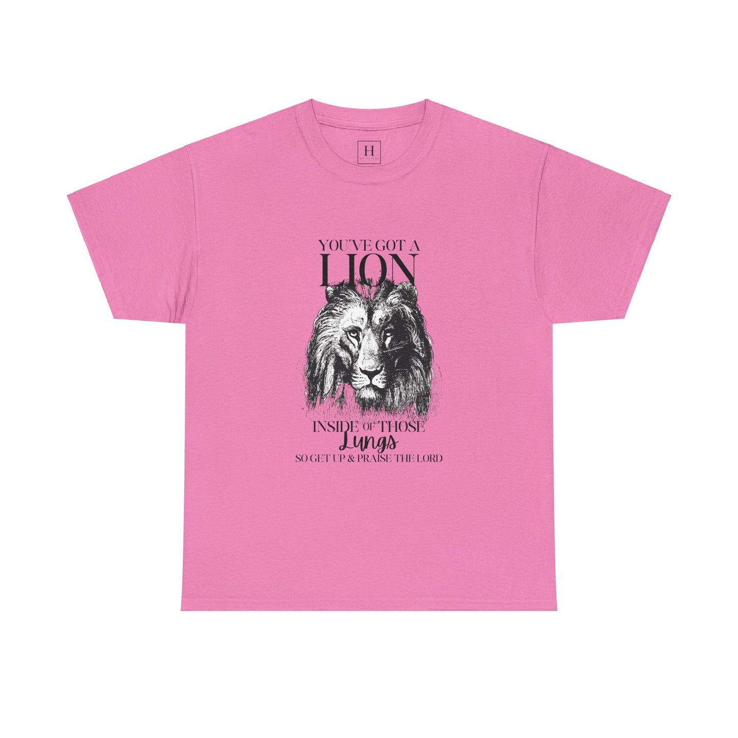 you are a lion christian shirt