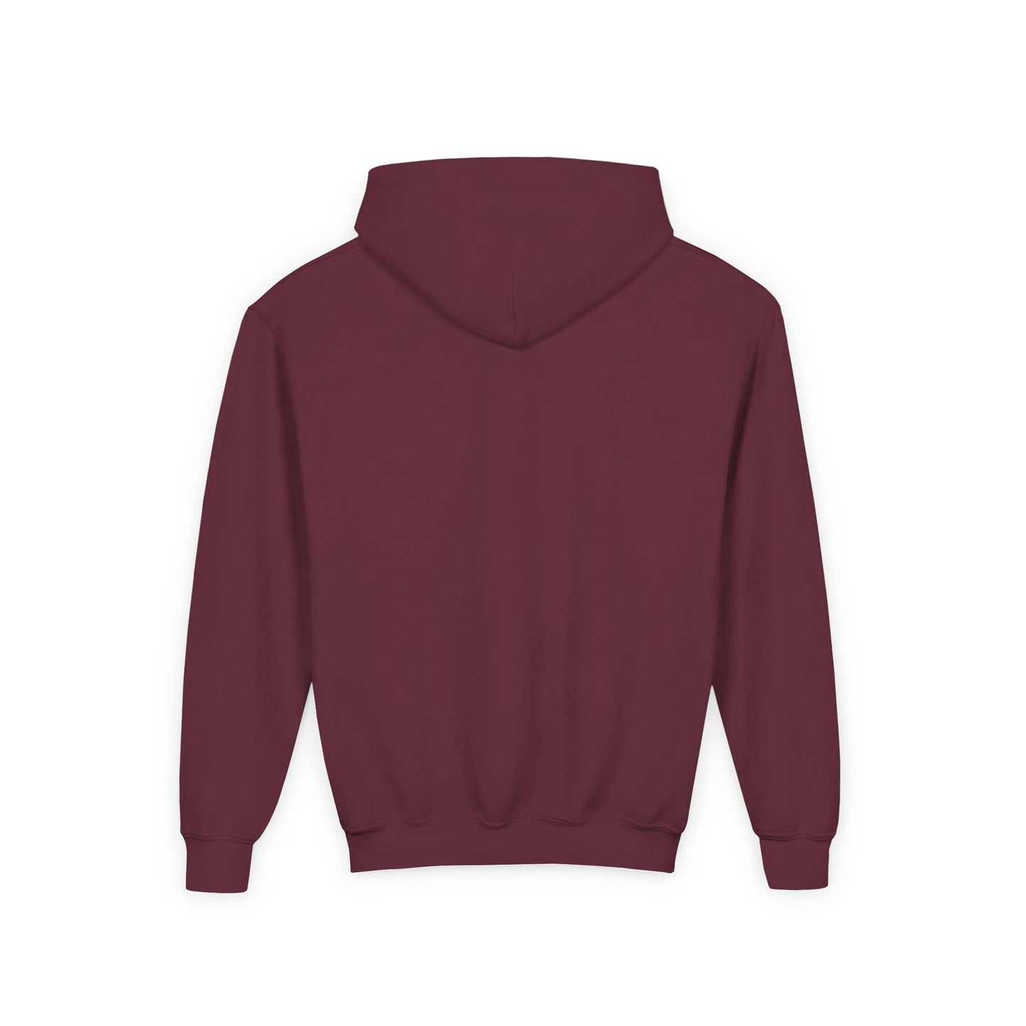 Youth Hoodie -- Cheerleading Bows Unisex Tee - West Jessamine Coquette Design
