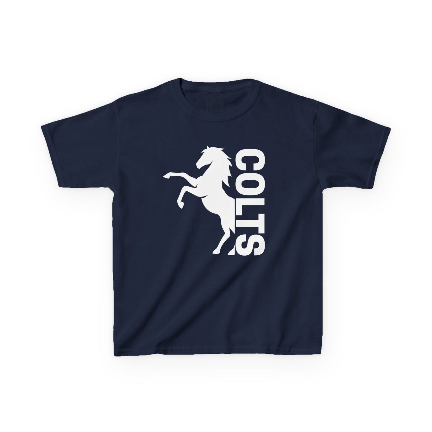 YOUTH - COLTS, Horse in White