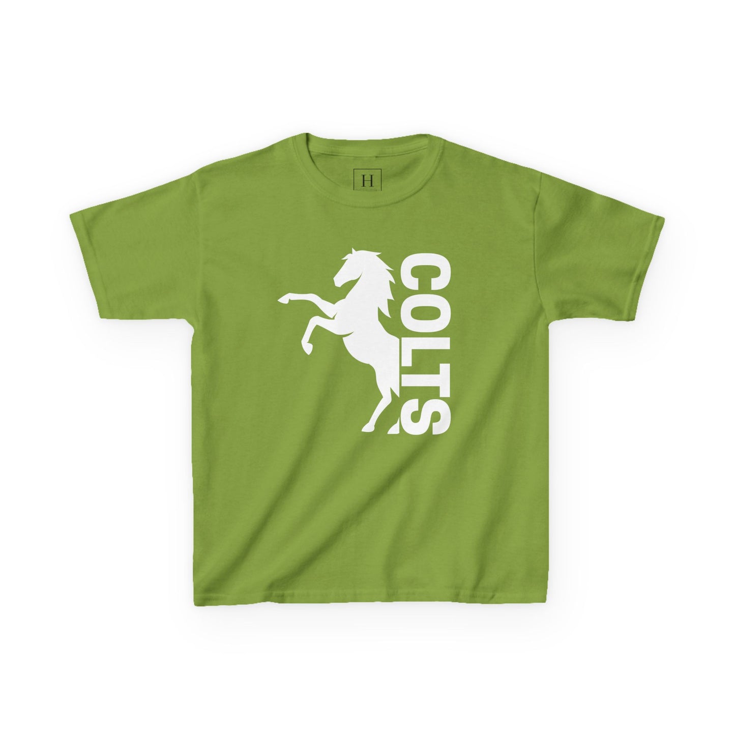 YOUTH - COLTS, Horse in White
