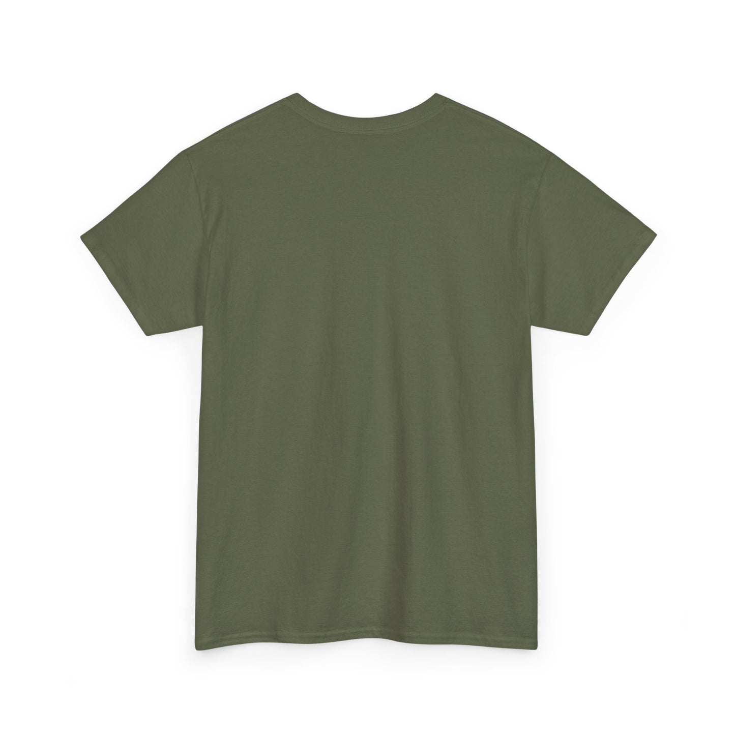 you are a lion christian shirt