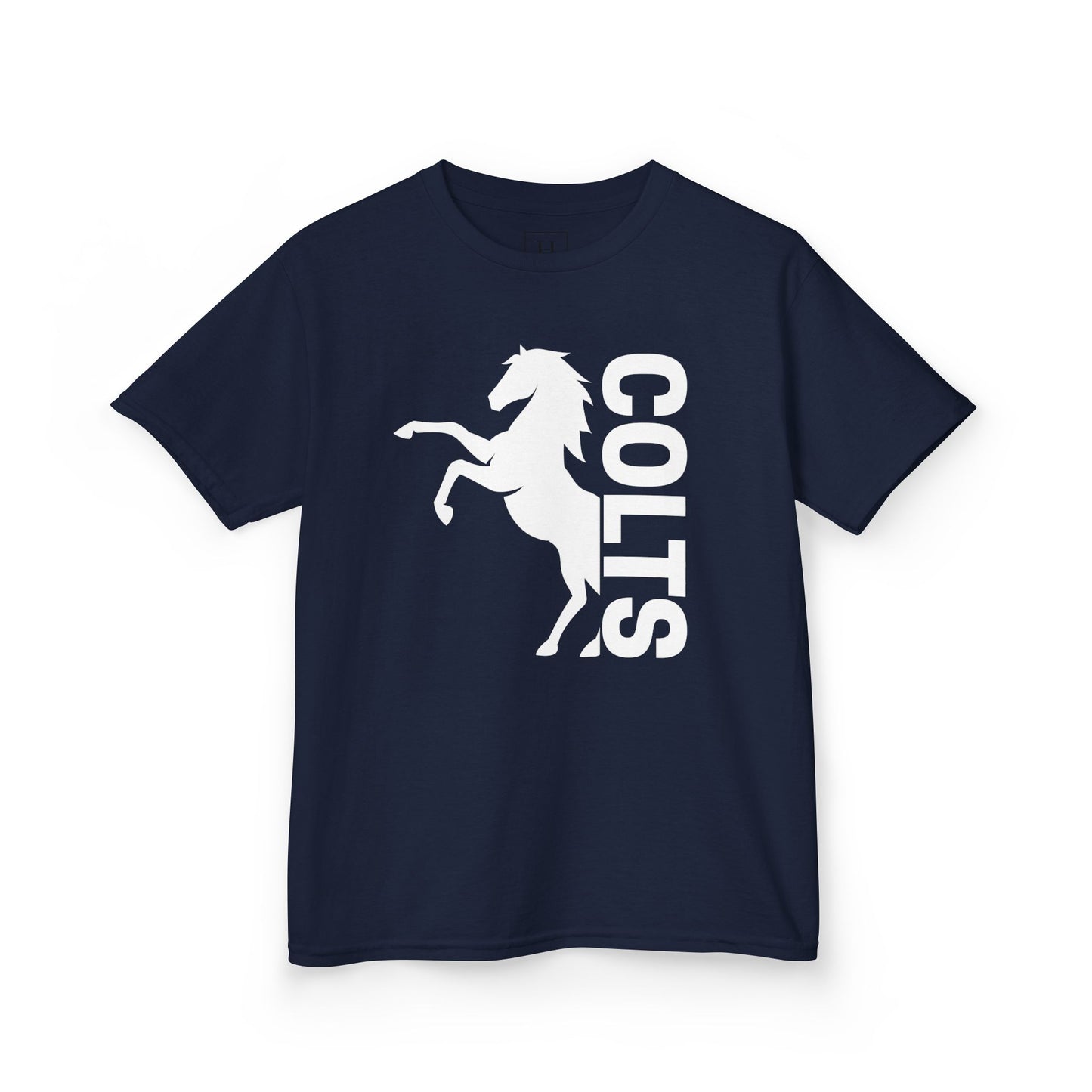 YOUTH - COLTS, Horse in White