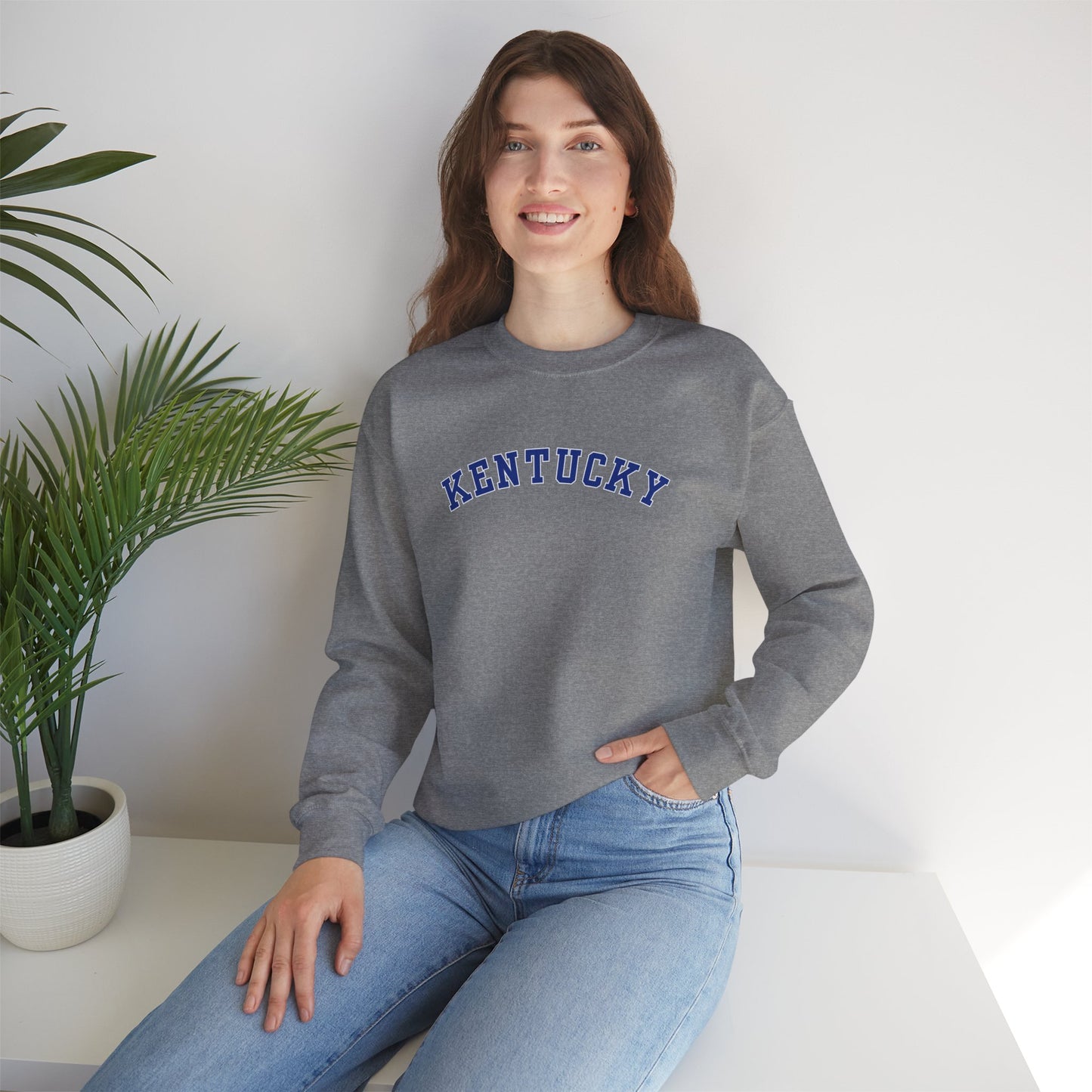 Kentucky Wildcats Pennant Sweater (Front & Back)