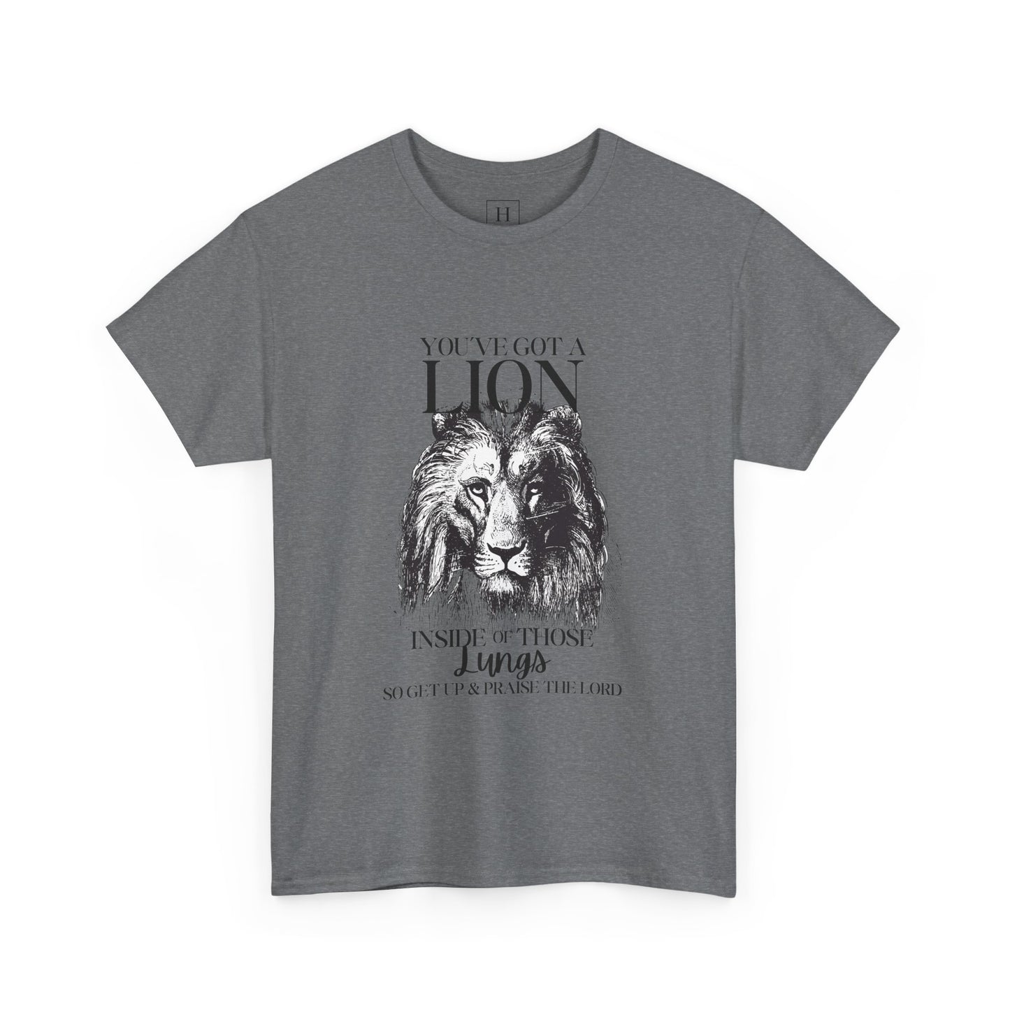 you are a lion christian shirt