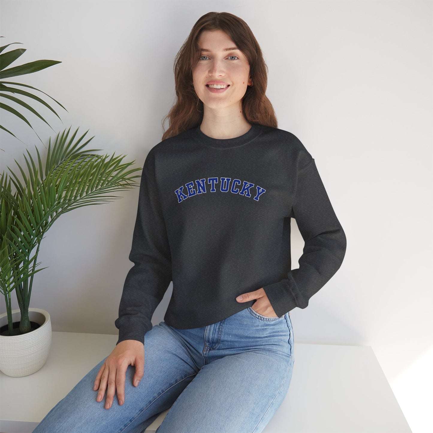 Kentucky Wildcats Pennant Sweater (Front & Back)