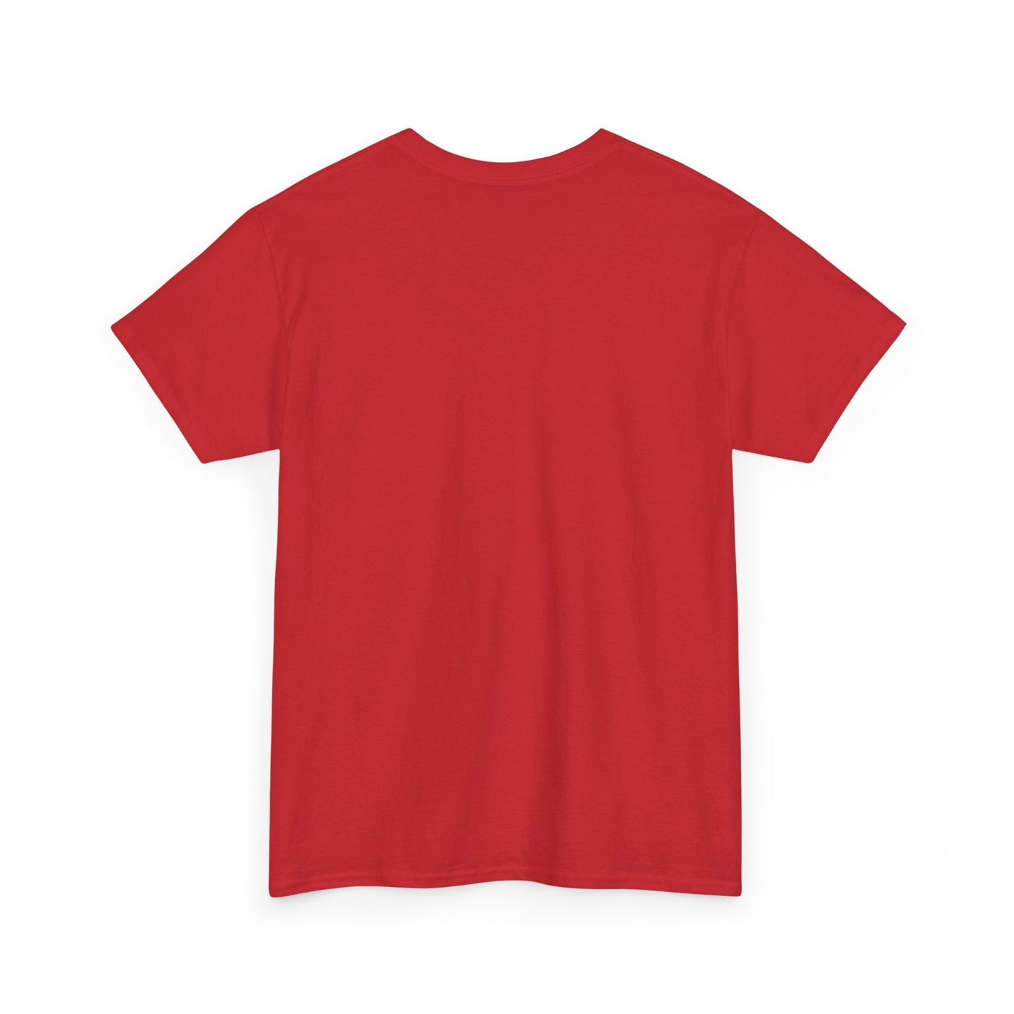 you are a lion christian shirt
