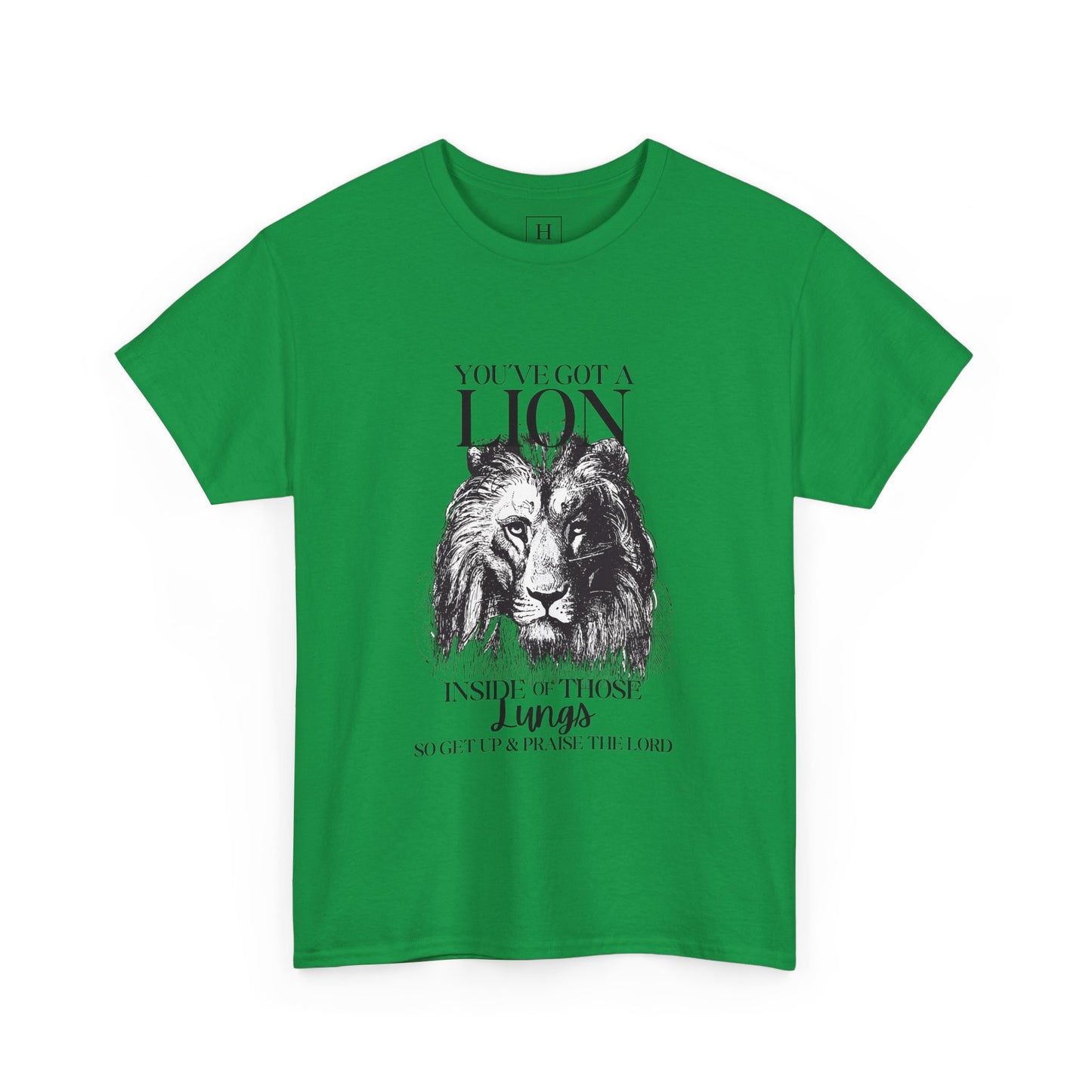 you are a lion christian shirt