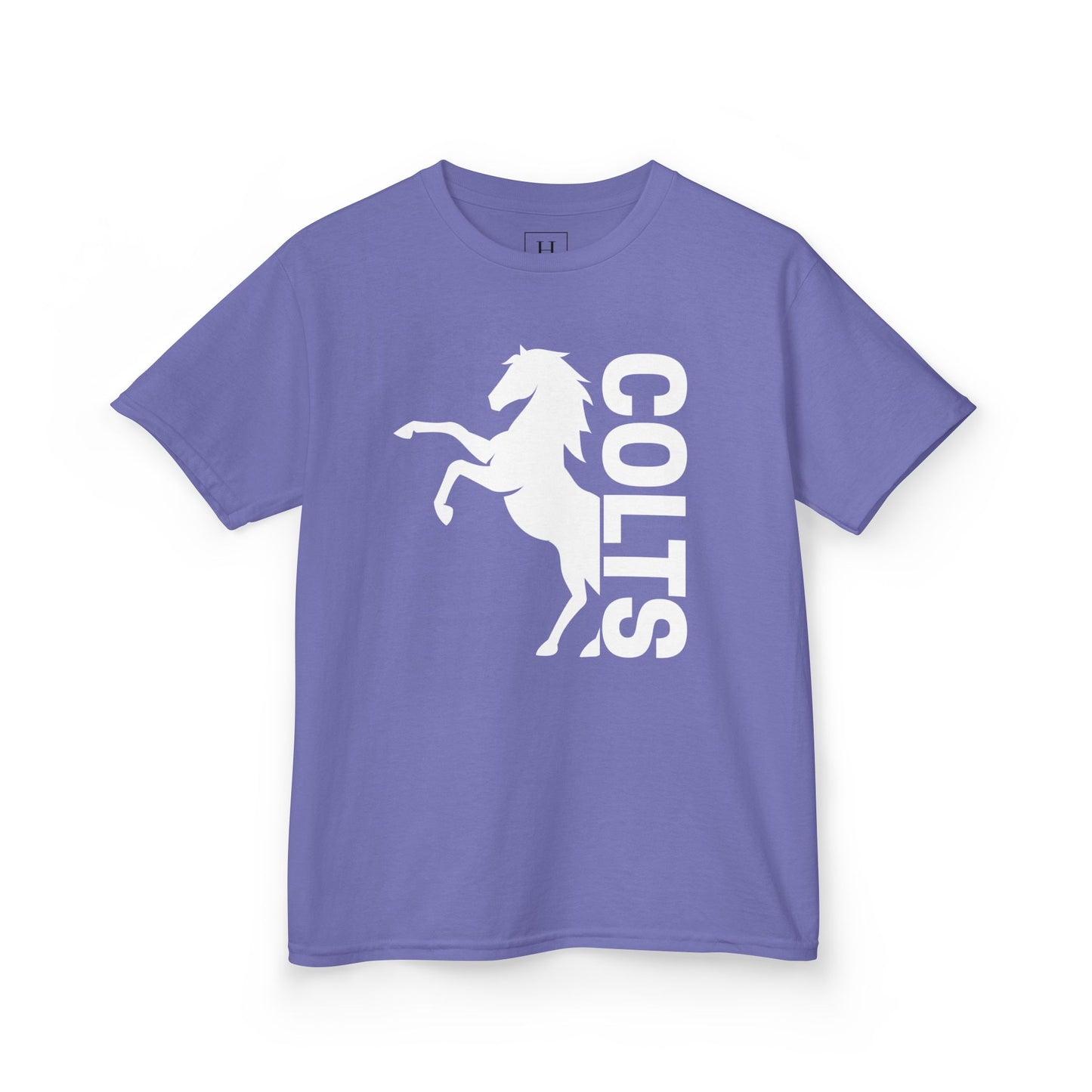 YOUTH - COLTS, Horse in White