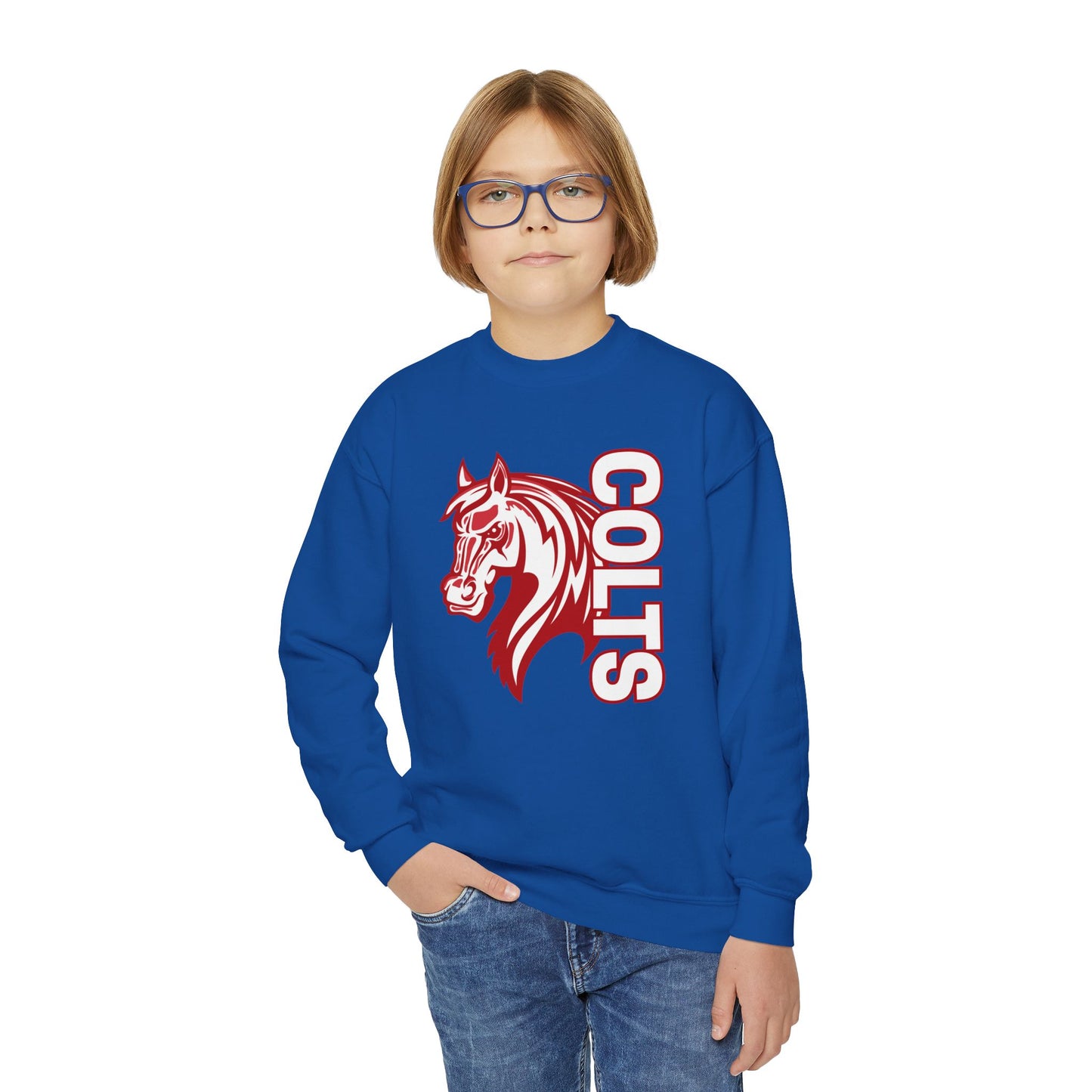 YOUTH -- Colts Mascot Head Horse West Jessamine Sweater