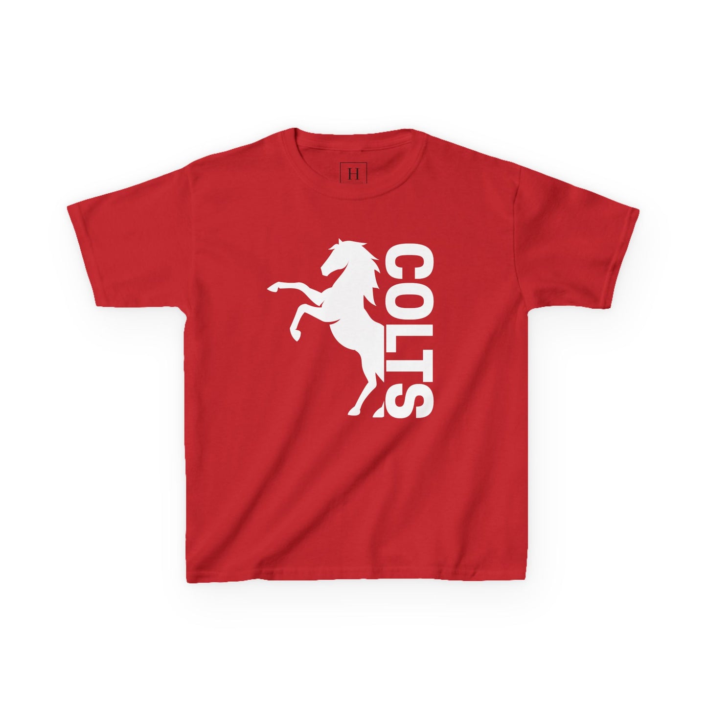 YOUTH - COLTS, Horse in White