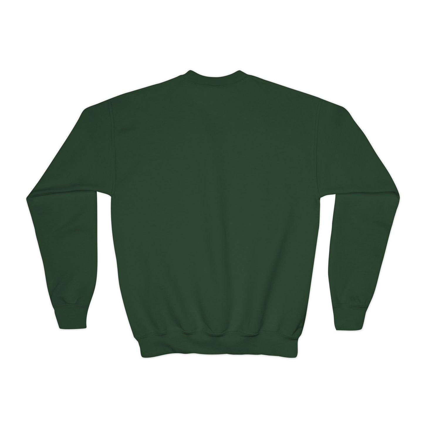 YOUTH -- Colts Mascot Head Horse West Jessamine Sweater