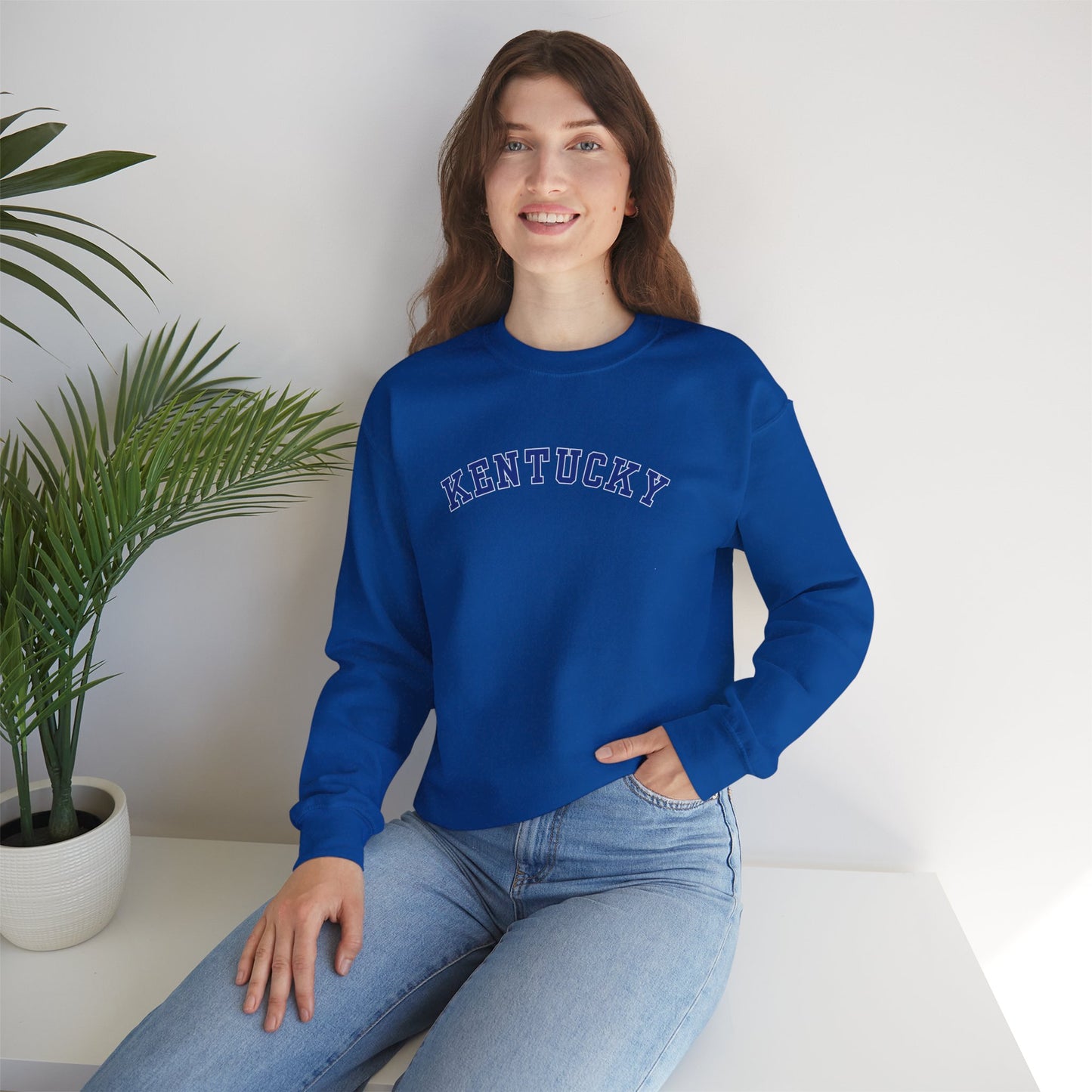 Kentucky Wildcats Pennant Sweater (Front & Back)