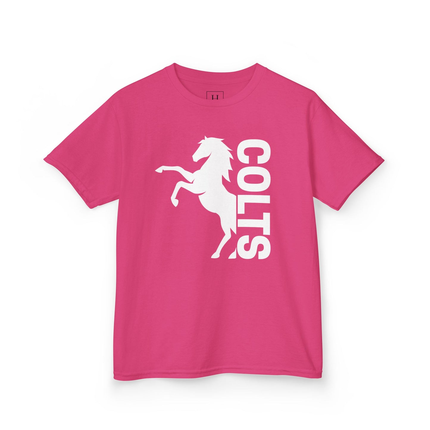 YOUTH - COLTS, Horse in White