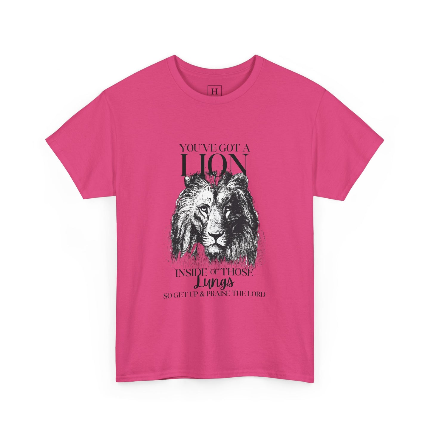 you are a lion christian shirt