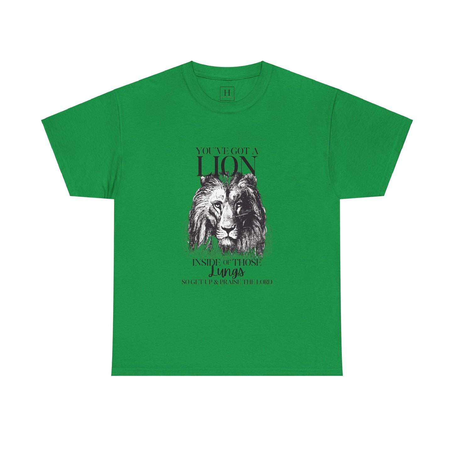 you are a lion christian shirt