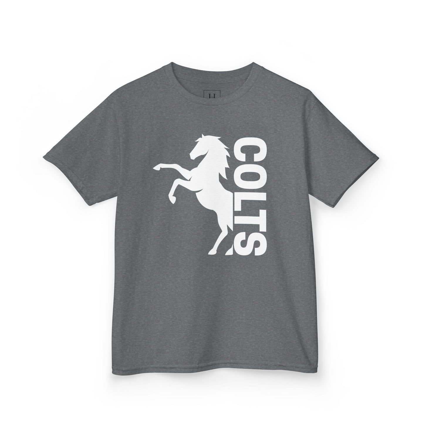 YOUTH - COLTS, Horse in White