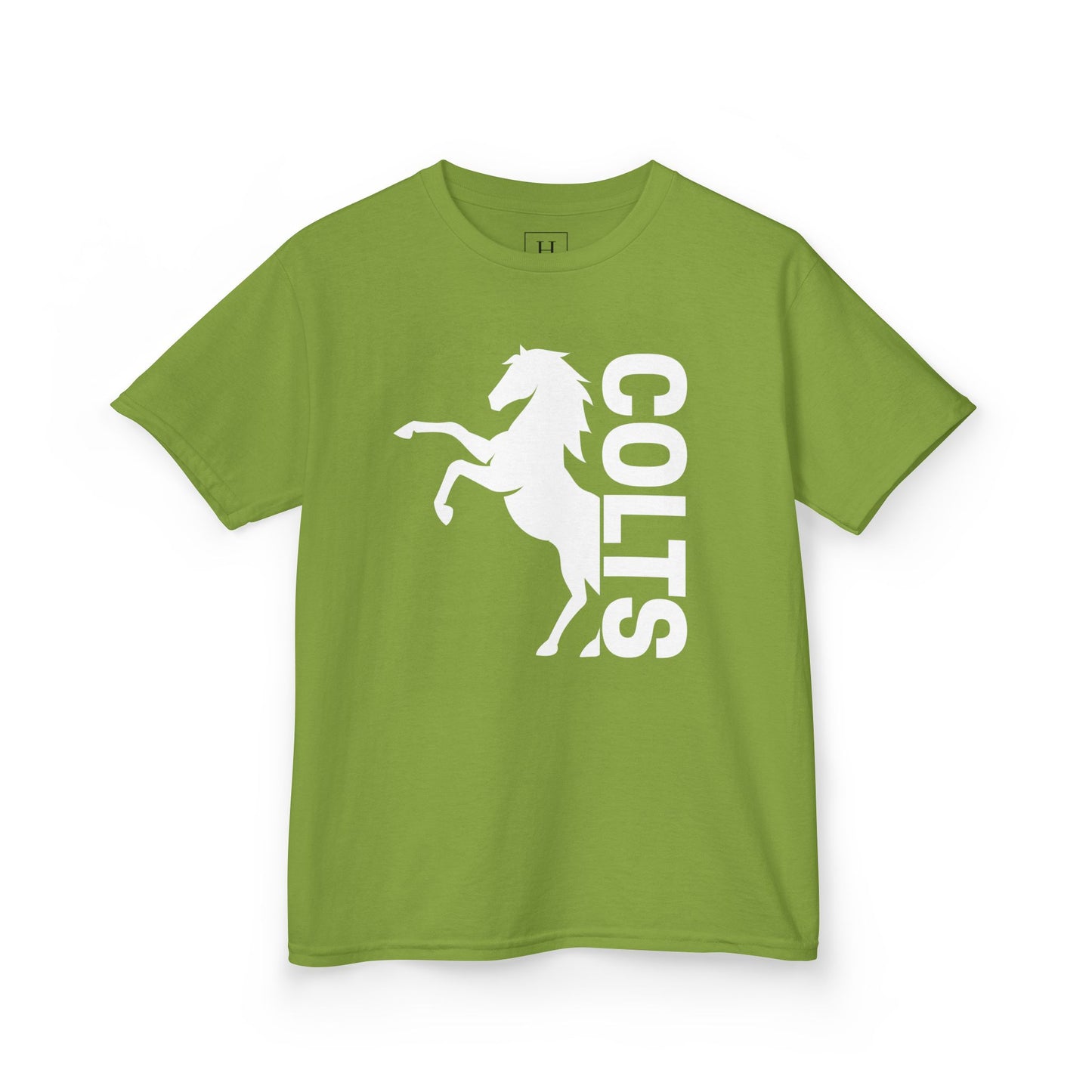 YOUTH - COLTS, Horse in White