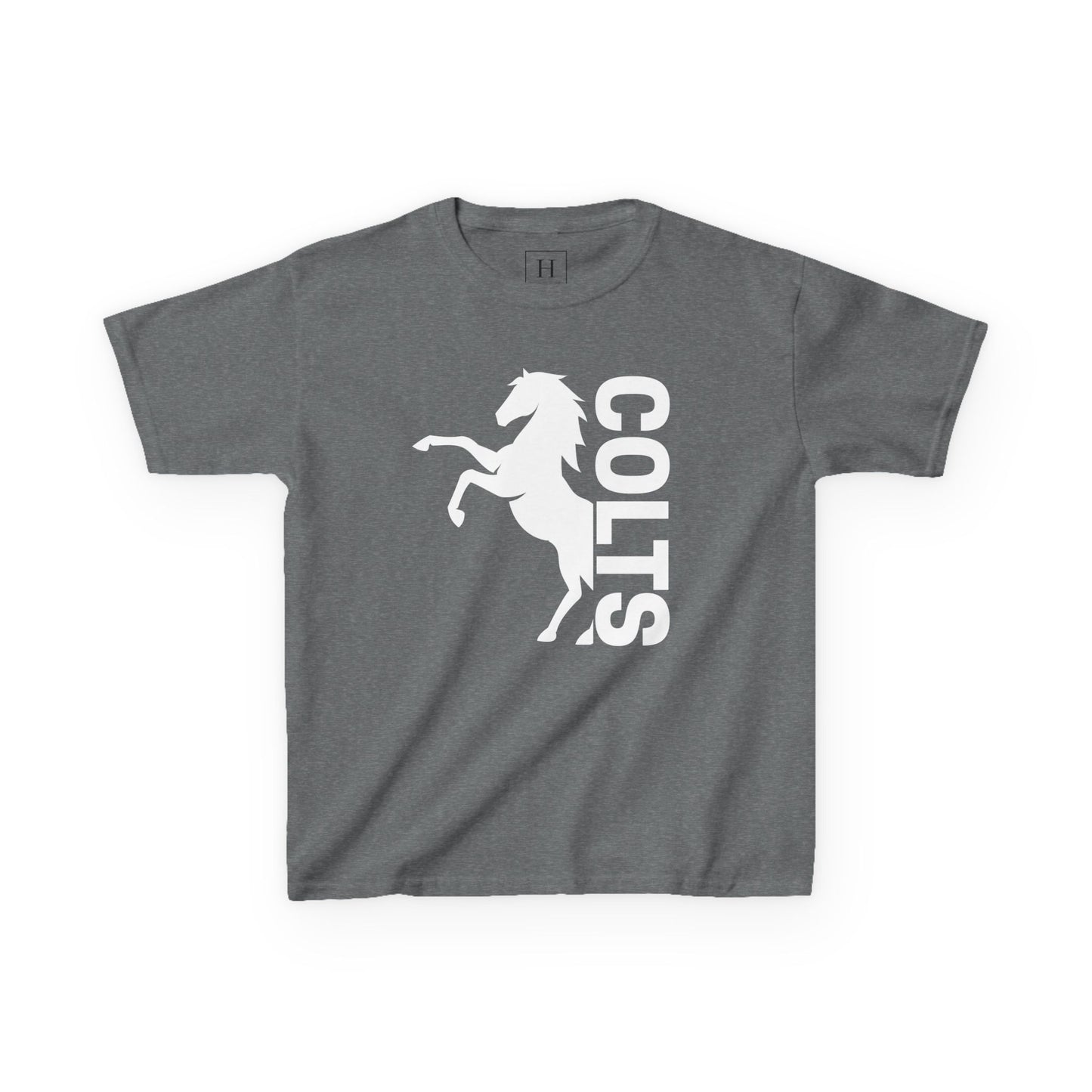 YOUTH - COLTS, Horse in White