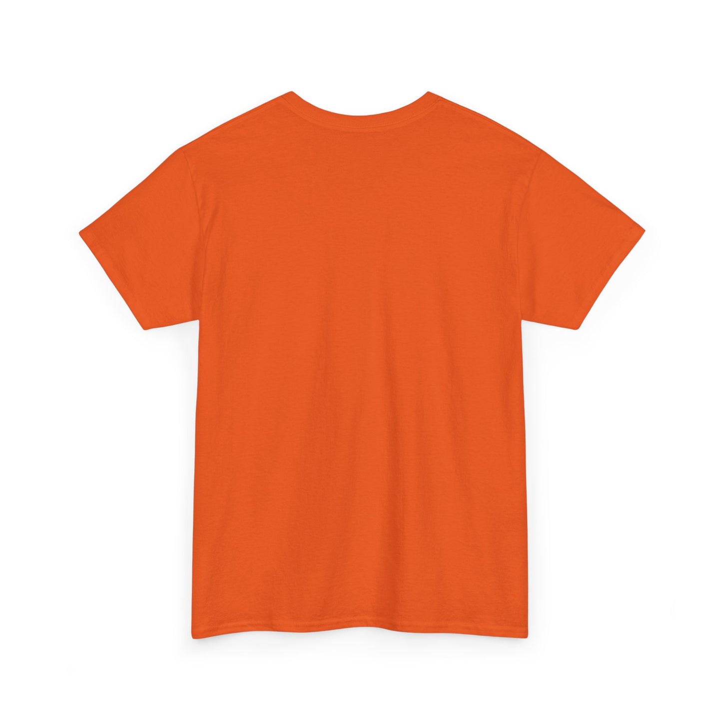 you are a lion christian shirt