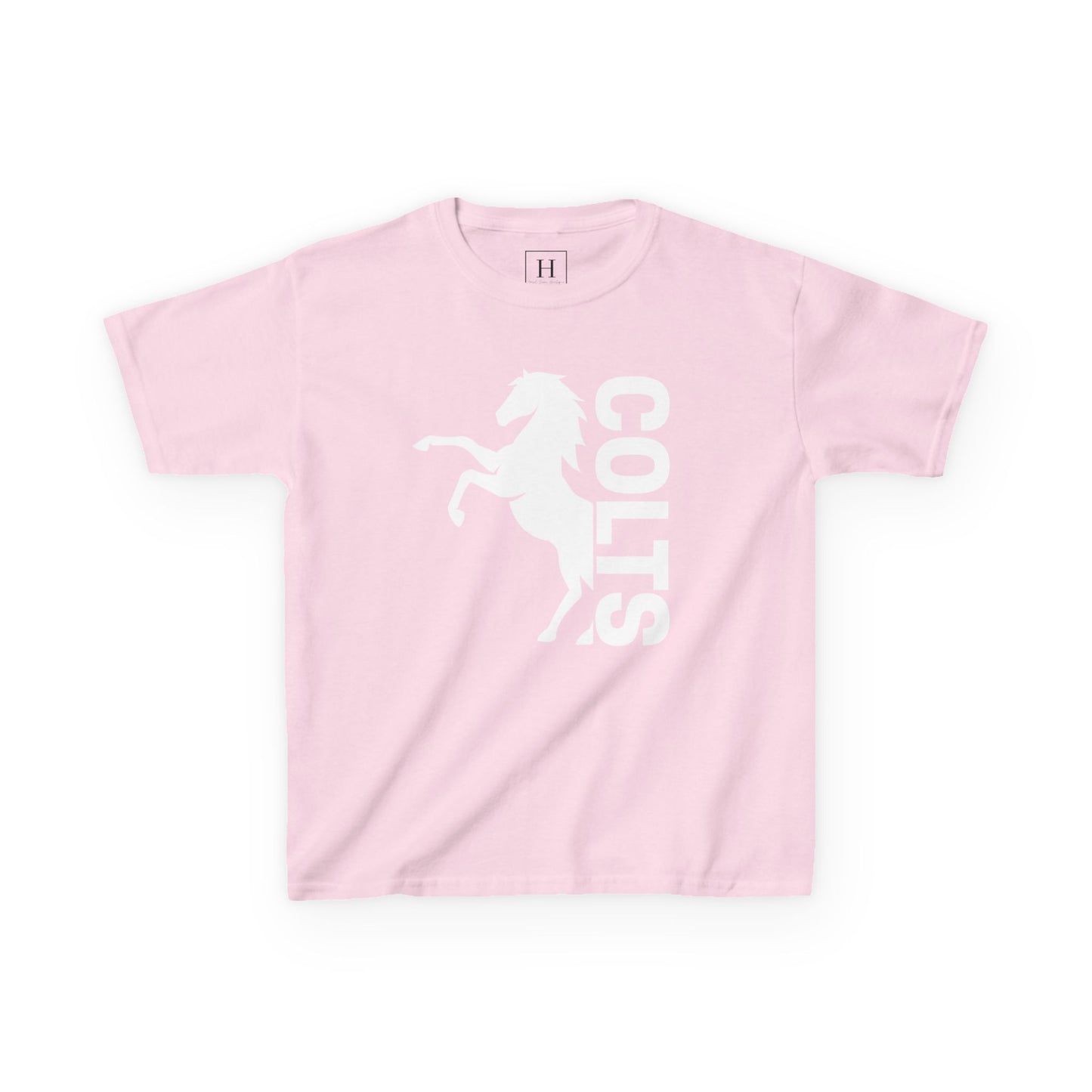 YOUTH - COLTS, Horse in White
