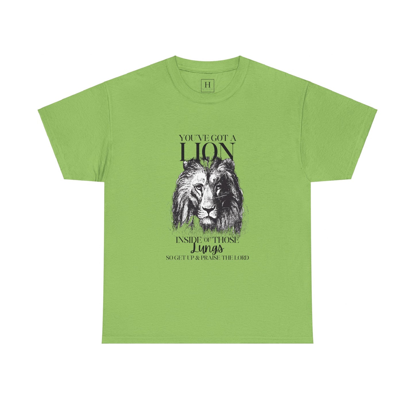 you are a lion christian shirt