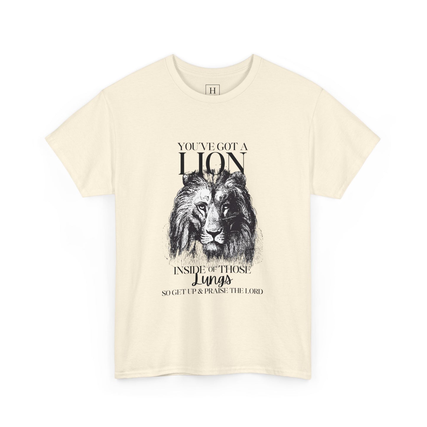 you are a lion christian shirt