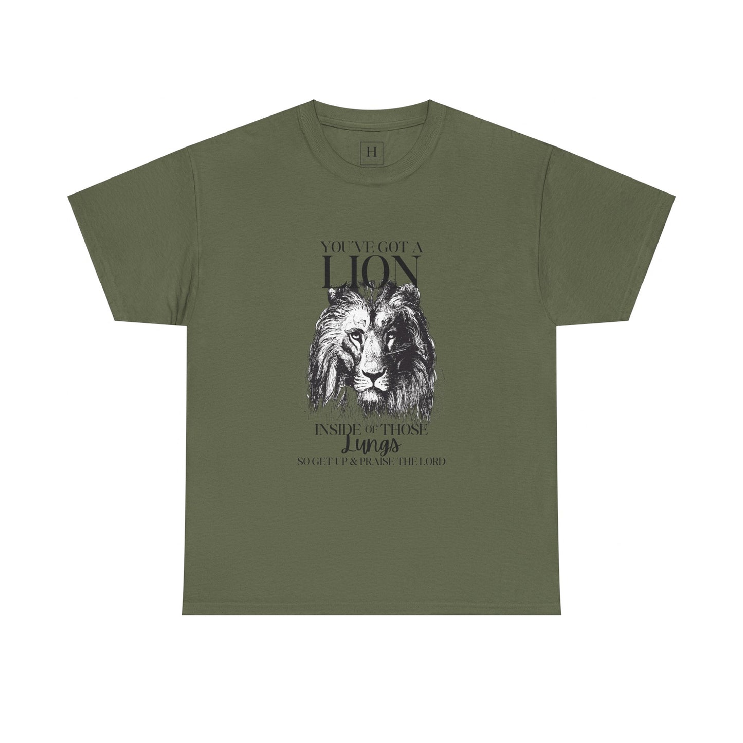 you are a lion christian shirt