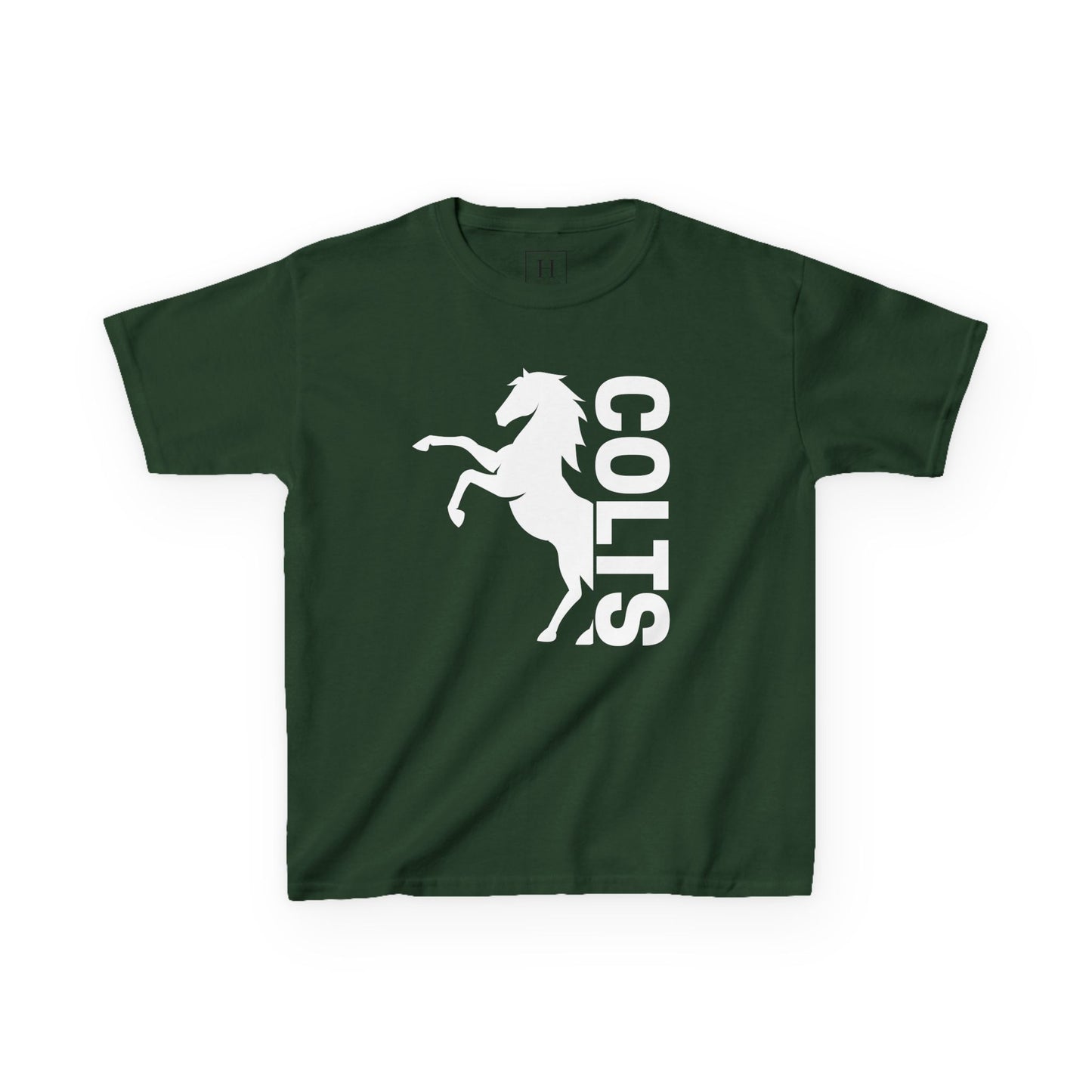 YOUTH - COLTS, Horse in White