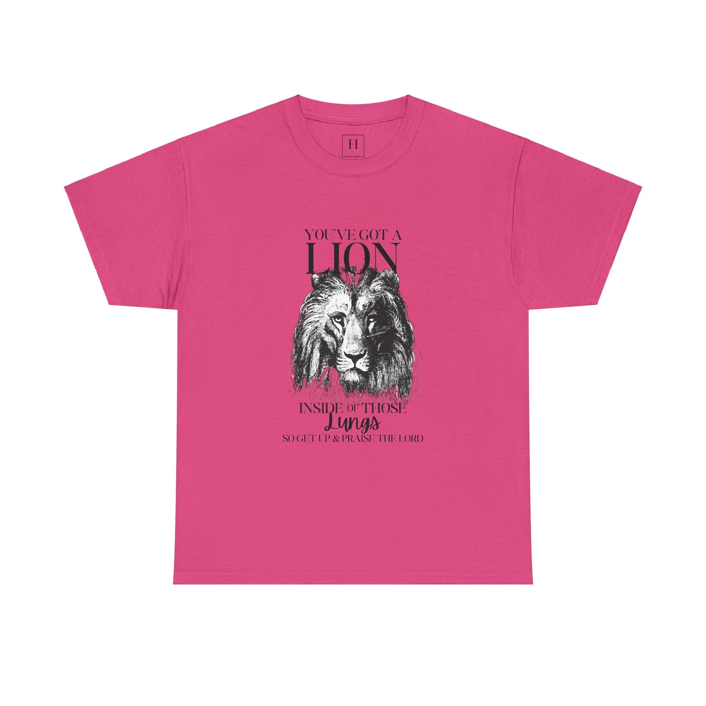 you are a lion christian shirt