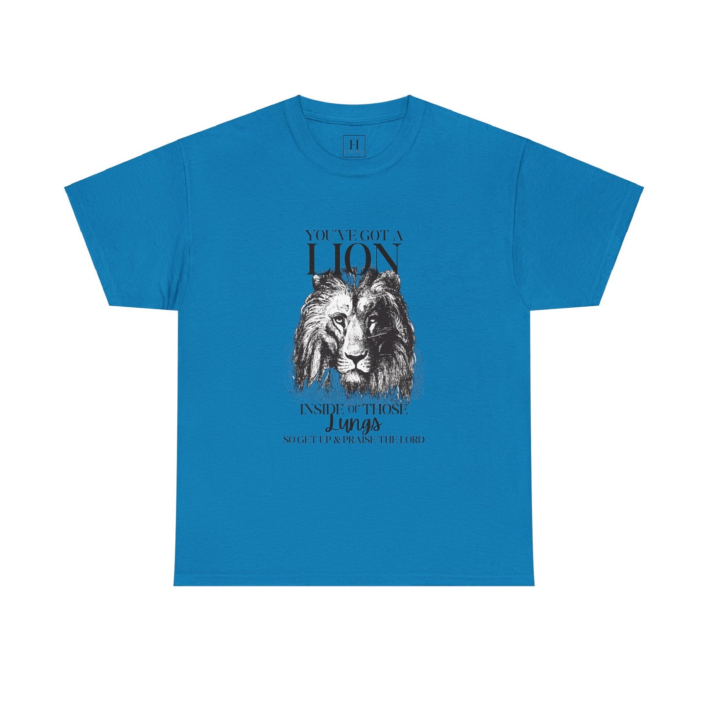 you are a lion christian shirt