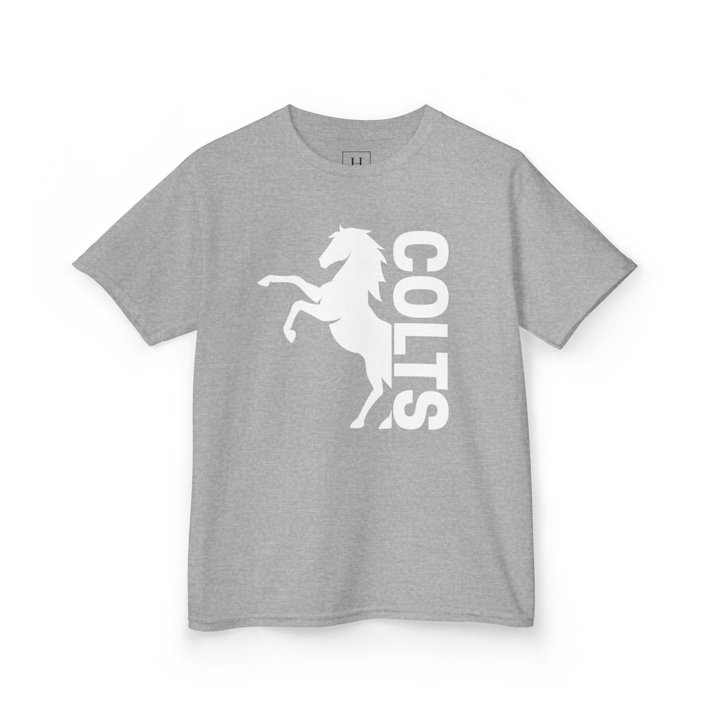 YOUTH - COLTS, Horse in White